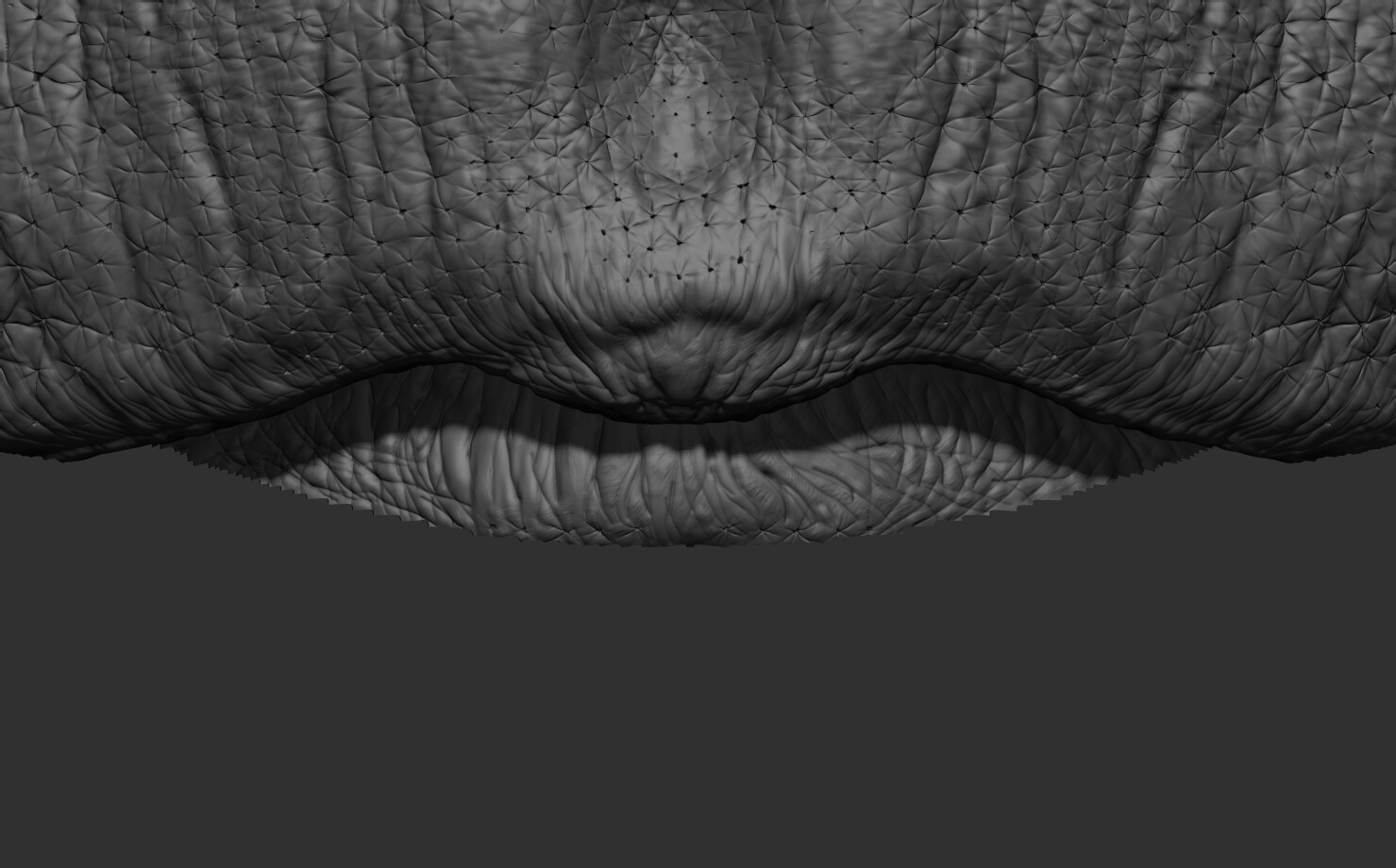 HD sculpt