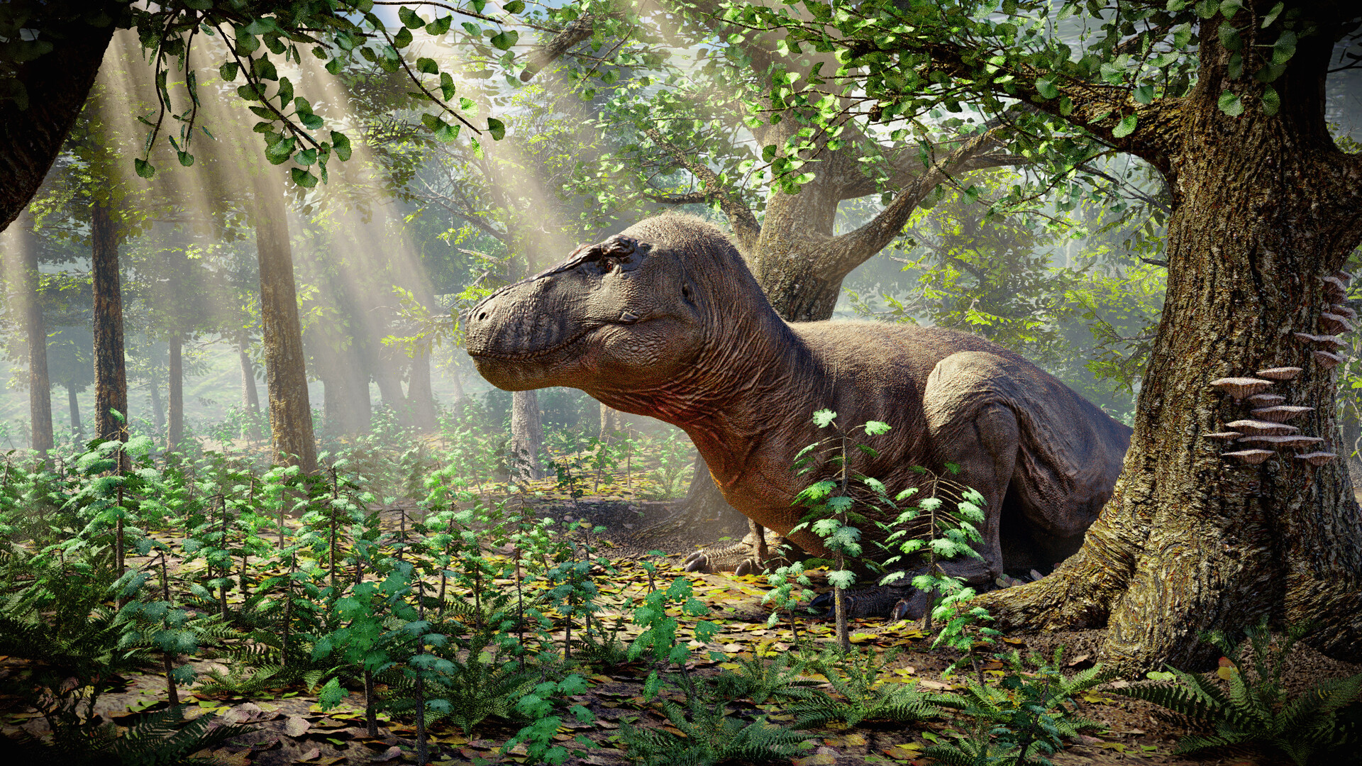 paleo trex