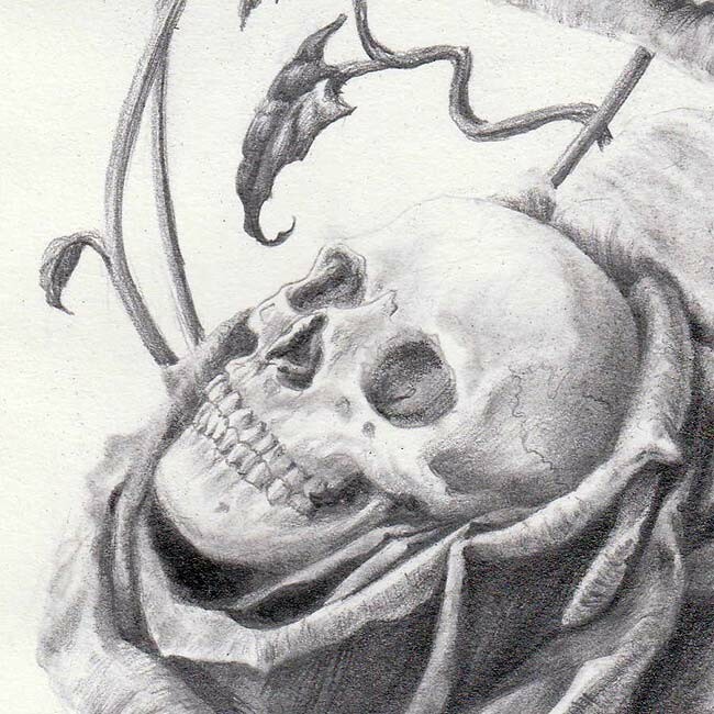 Artstation Skulls Roses Martine Fassier