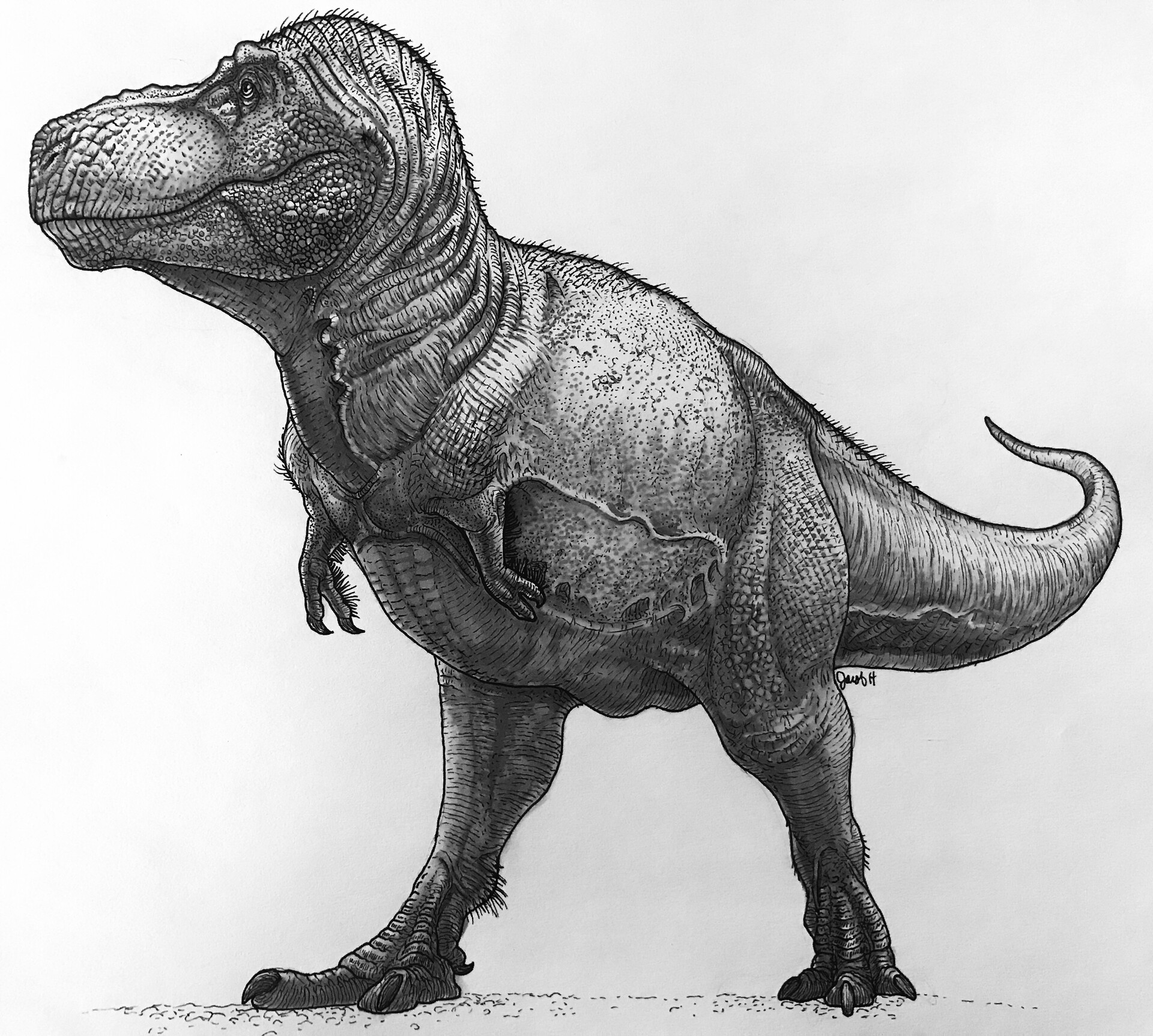 ArtStation - Charcoal drawing of a Tyrannosaurus Rex