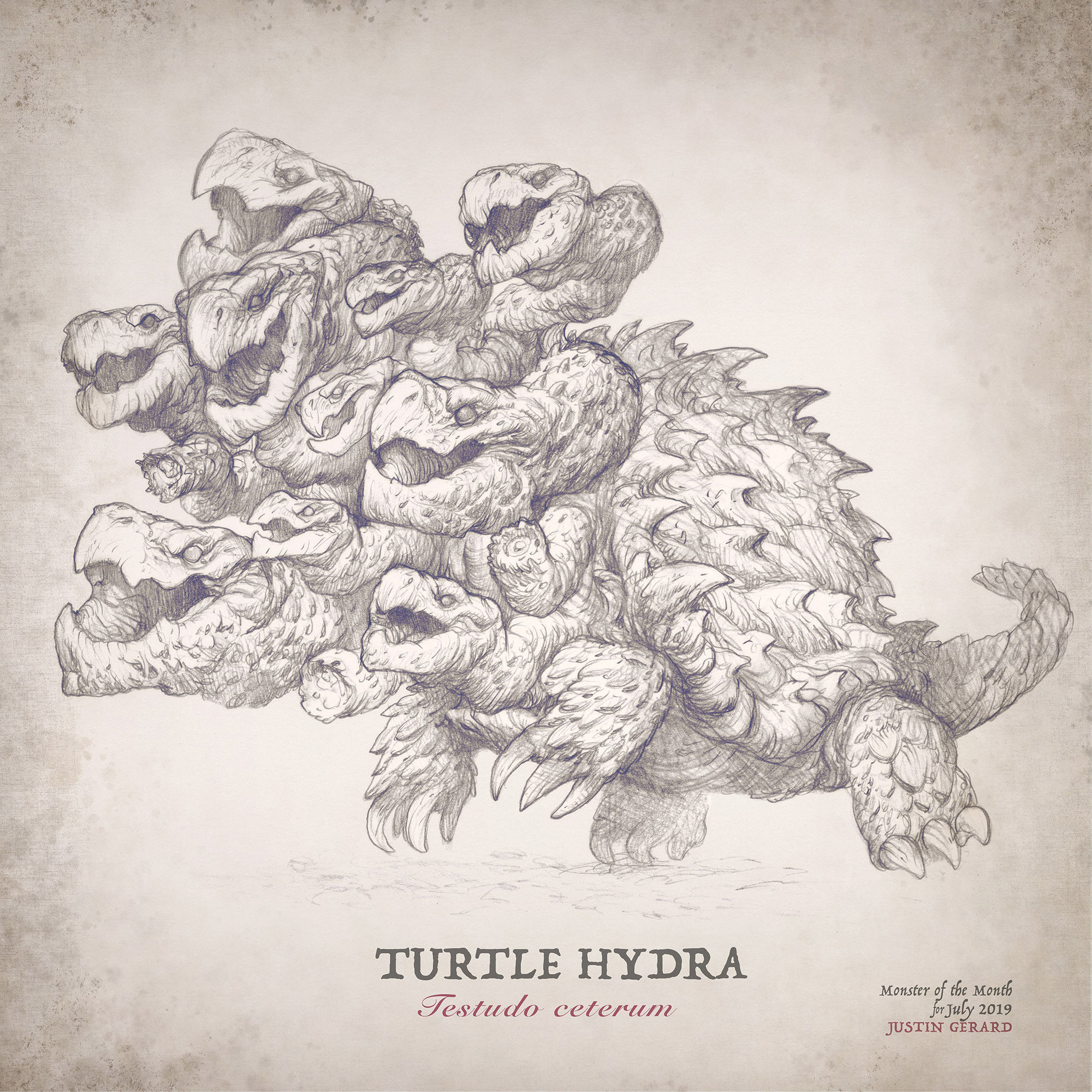 Hydra turtle анализы на наркотики волгоград