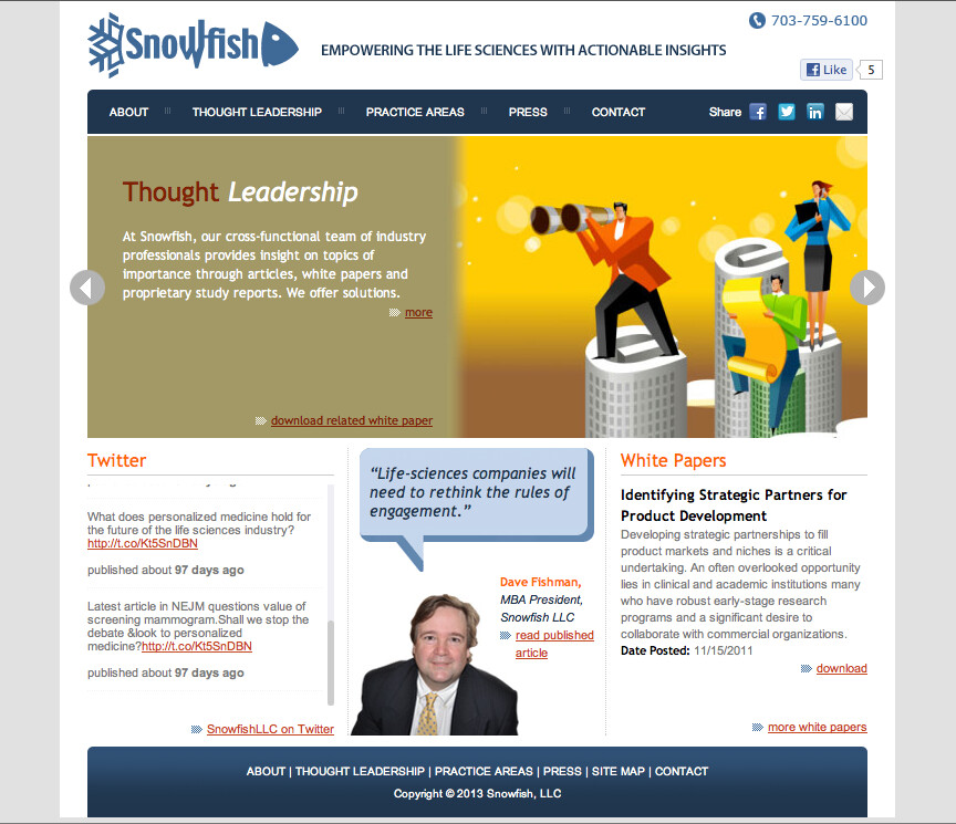 Snowfish Website. Partial Design and coding.