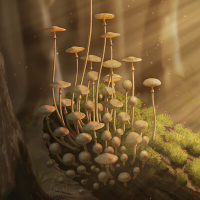 Andrew mcintosh warm mushroom 03