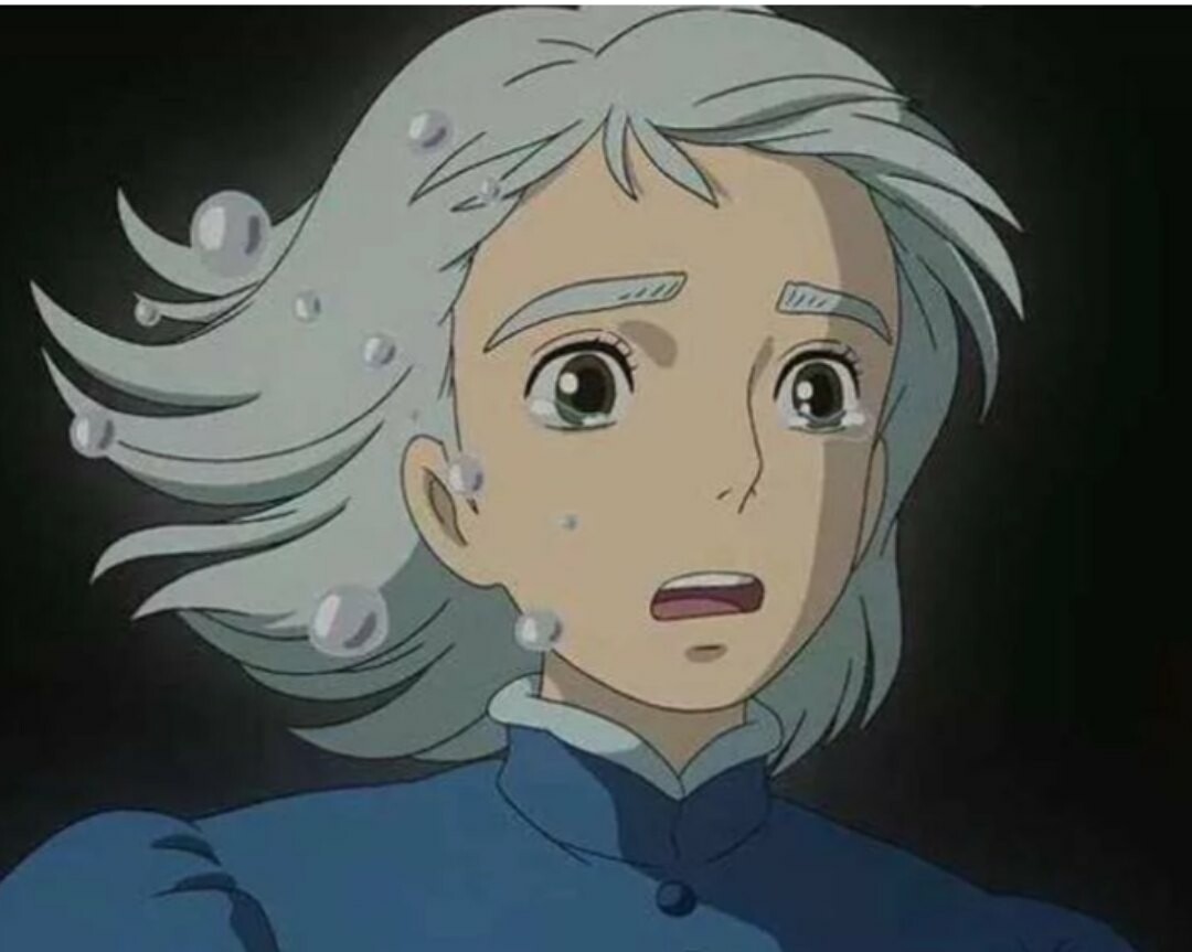 Howls Moving Castle, Anime Howls Moving Castle HD phone wallpaper | Pxfuel
