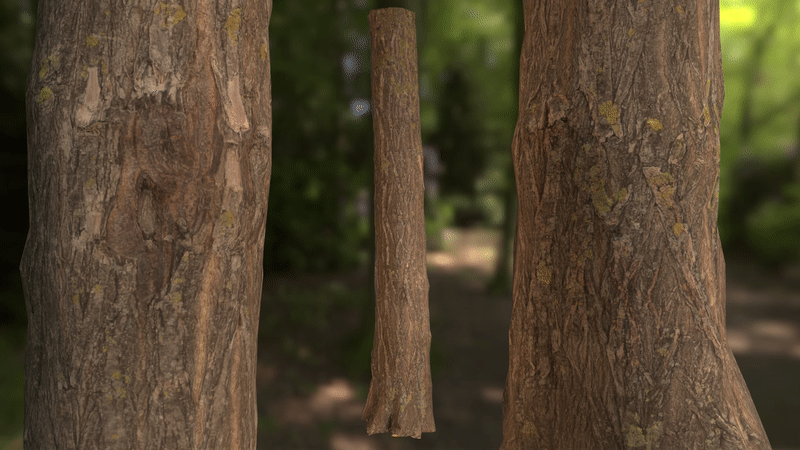 Tree Trunk - Photogrammetry Workflow #2, Diana Maria Udrescu