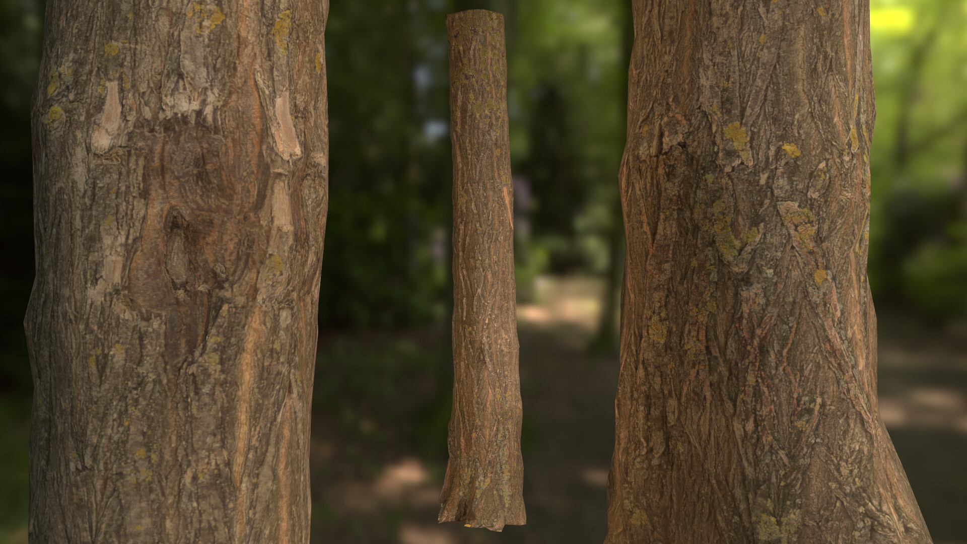 Artstation Tree Trunk Photogrammetry Workflow 2 Diana Maria