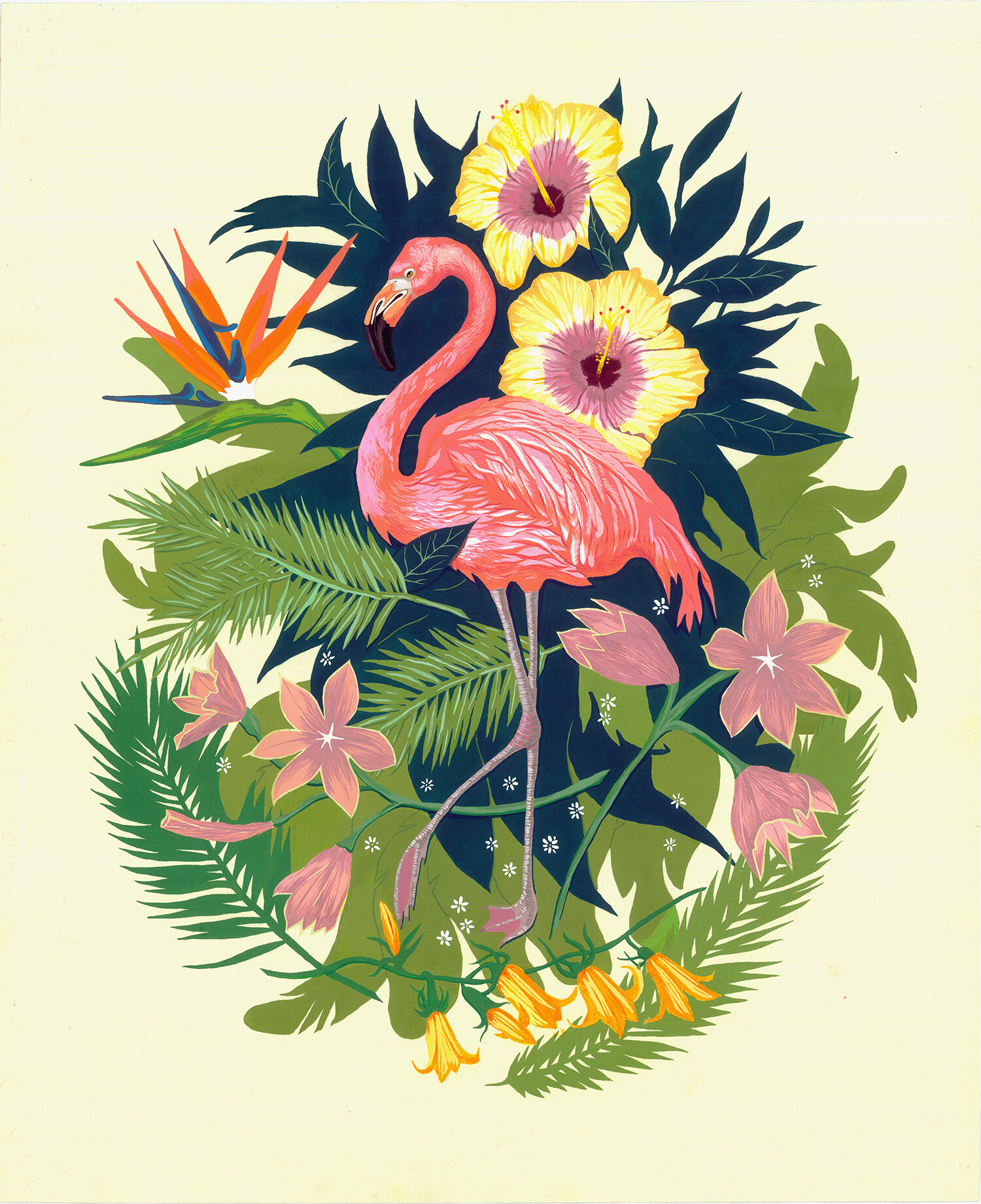 ArtStation - Flamingo jungles, personal work