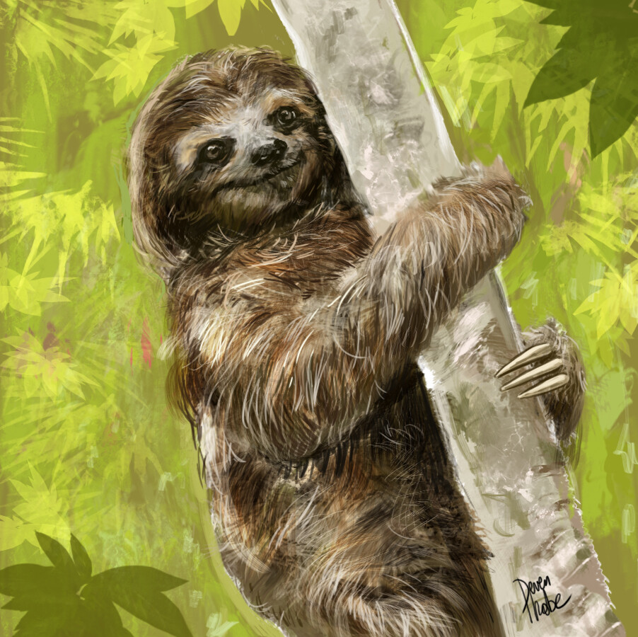 Artstation Paresseux Sloth Deven Phobe