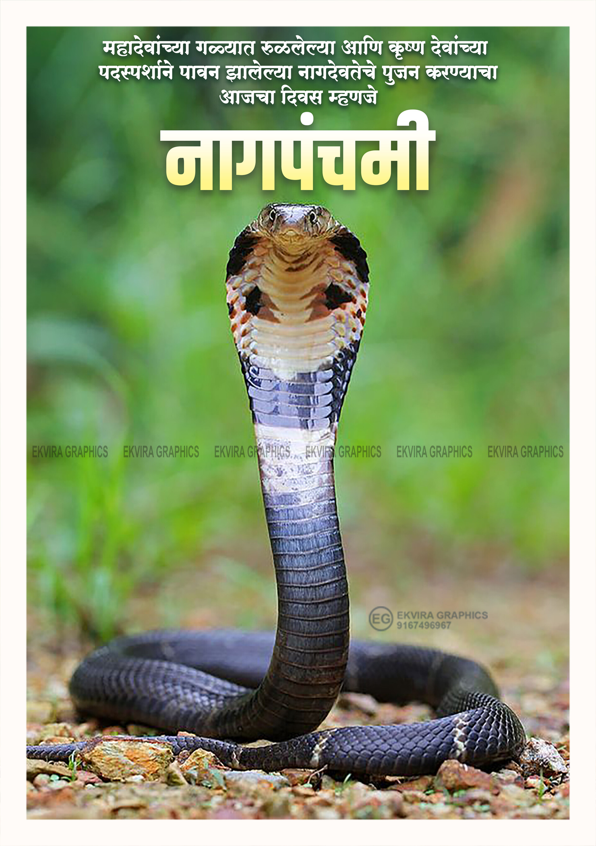 Pranit Mhatre Nag Panchami