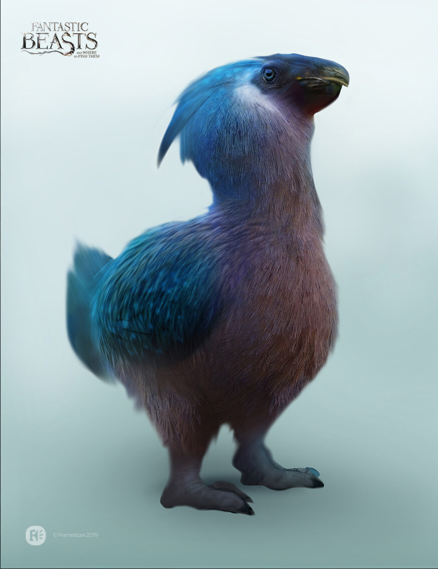 Artstation Fantastic Beasts And Where To Find Them