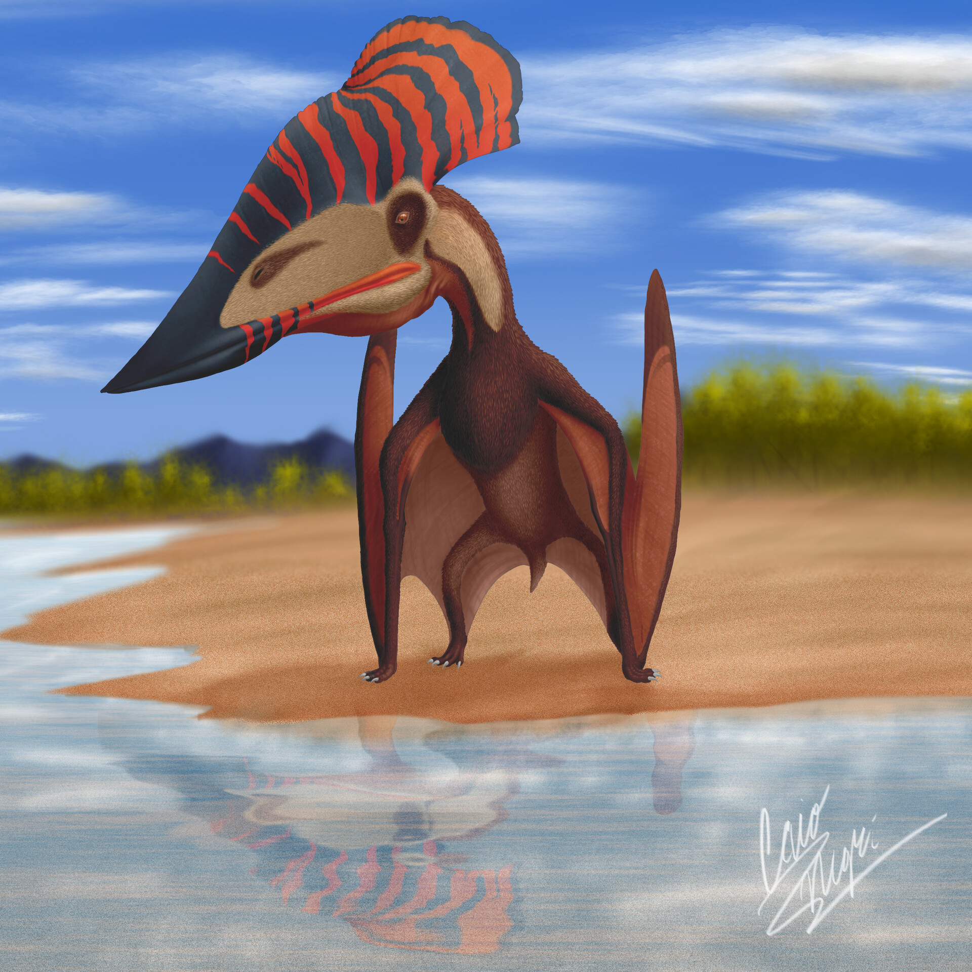 ArtStation - Tupuxuara Longicristatus, image size:1920x1920