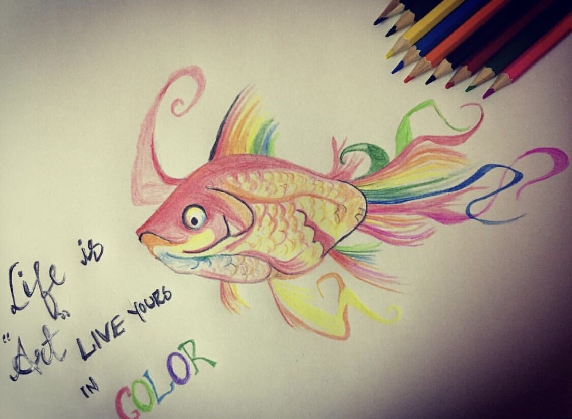 color fish pencil drawing by karla | Image