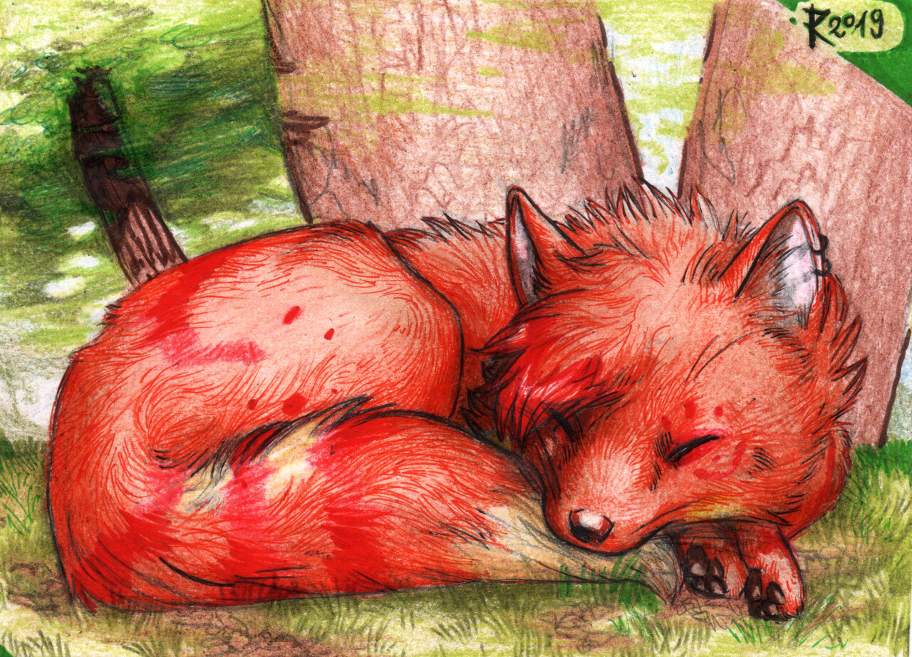  Another ArtFight attack (or better, a revenge)! This cute fox is Alix, a character that belongs to Crossy . Drawn with colored pencils and pen. Good dreams from the dream team, Alix!