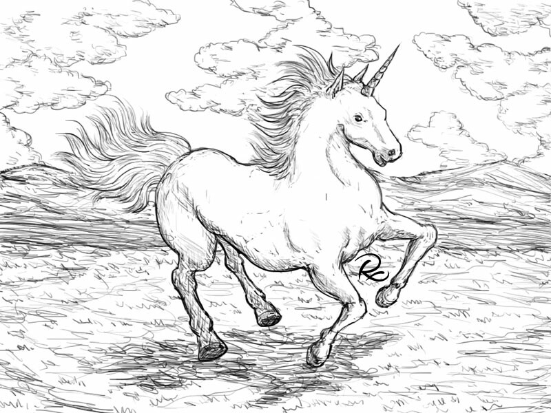 Robet Xu Unicorn Sketch