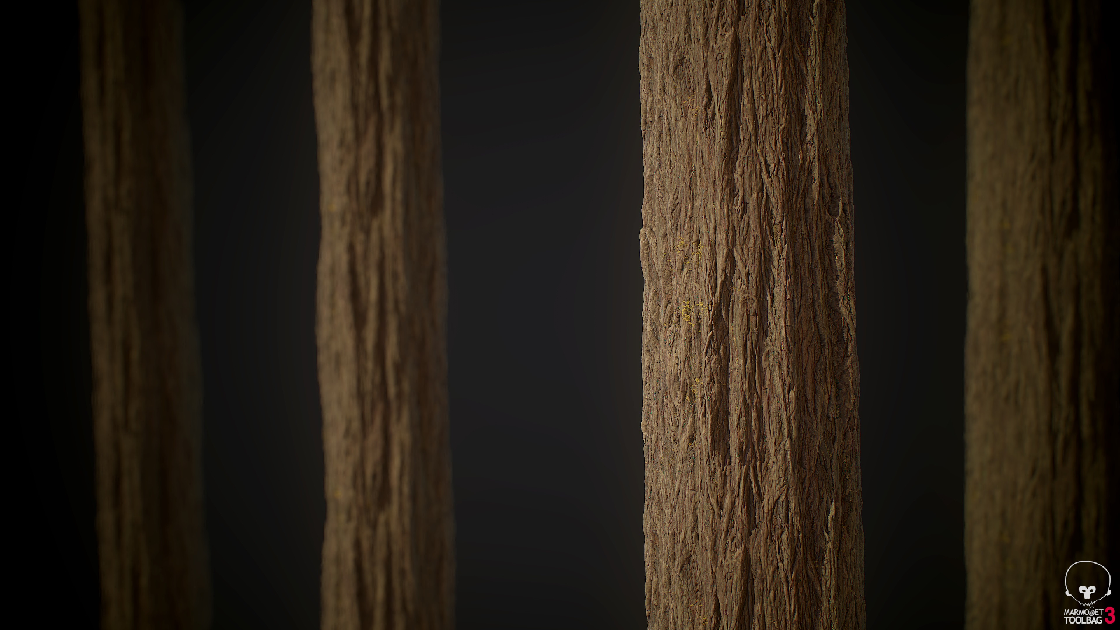 Red Cedar Tree