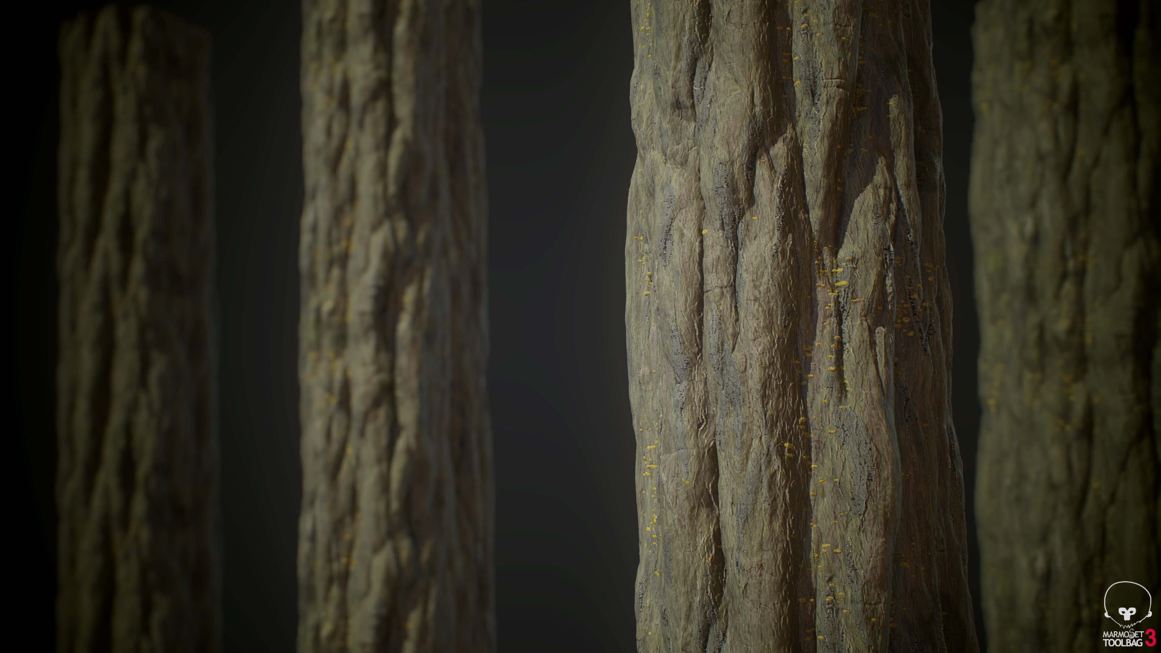 Fig Tree