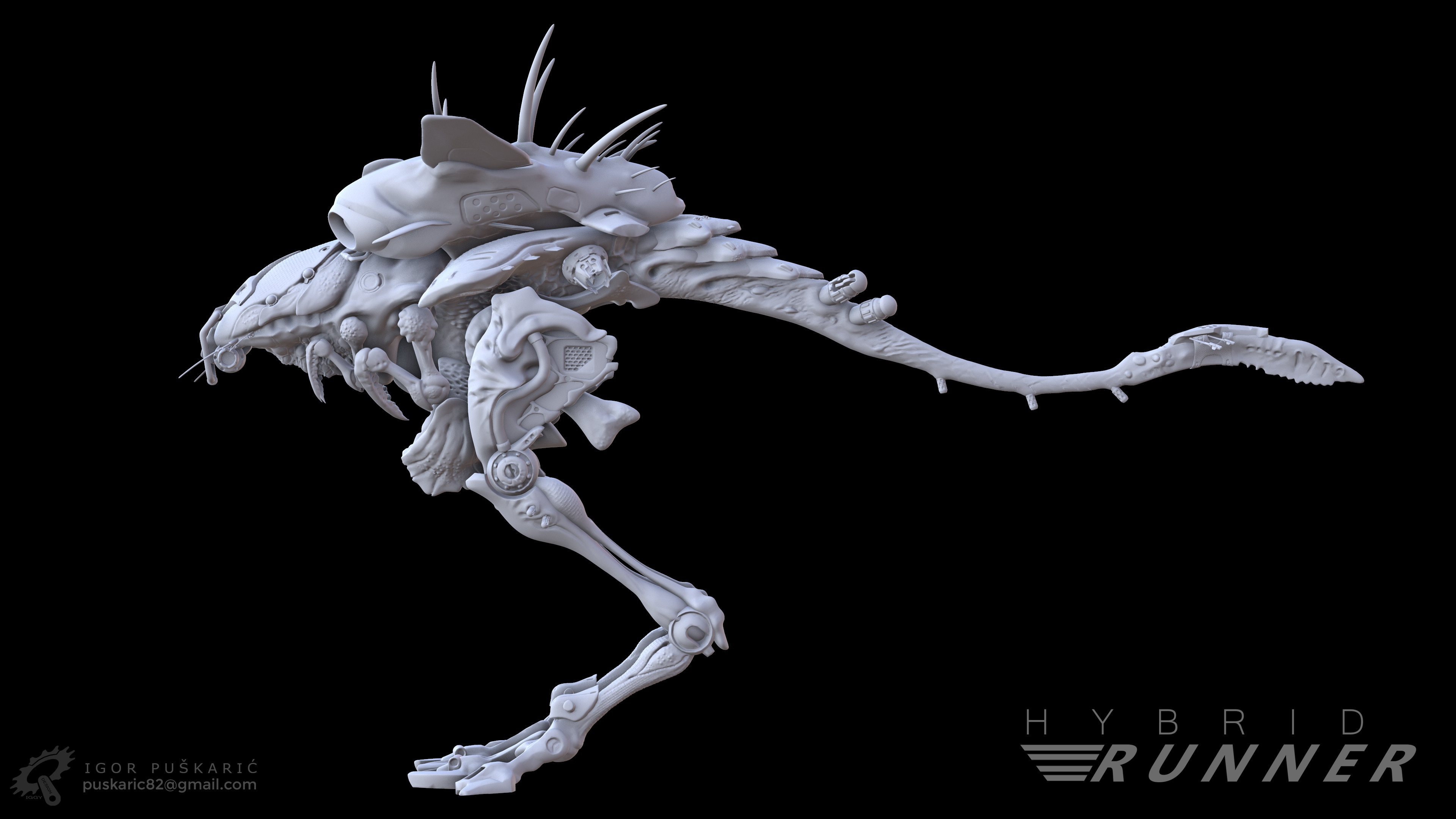 Marmoset render