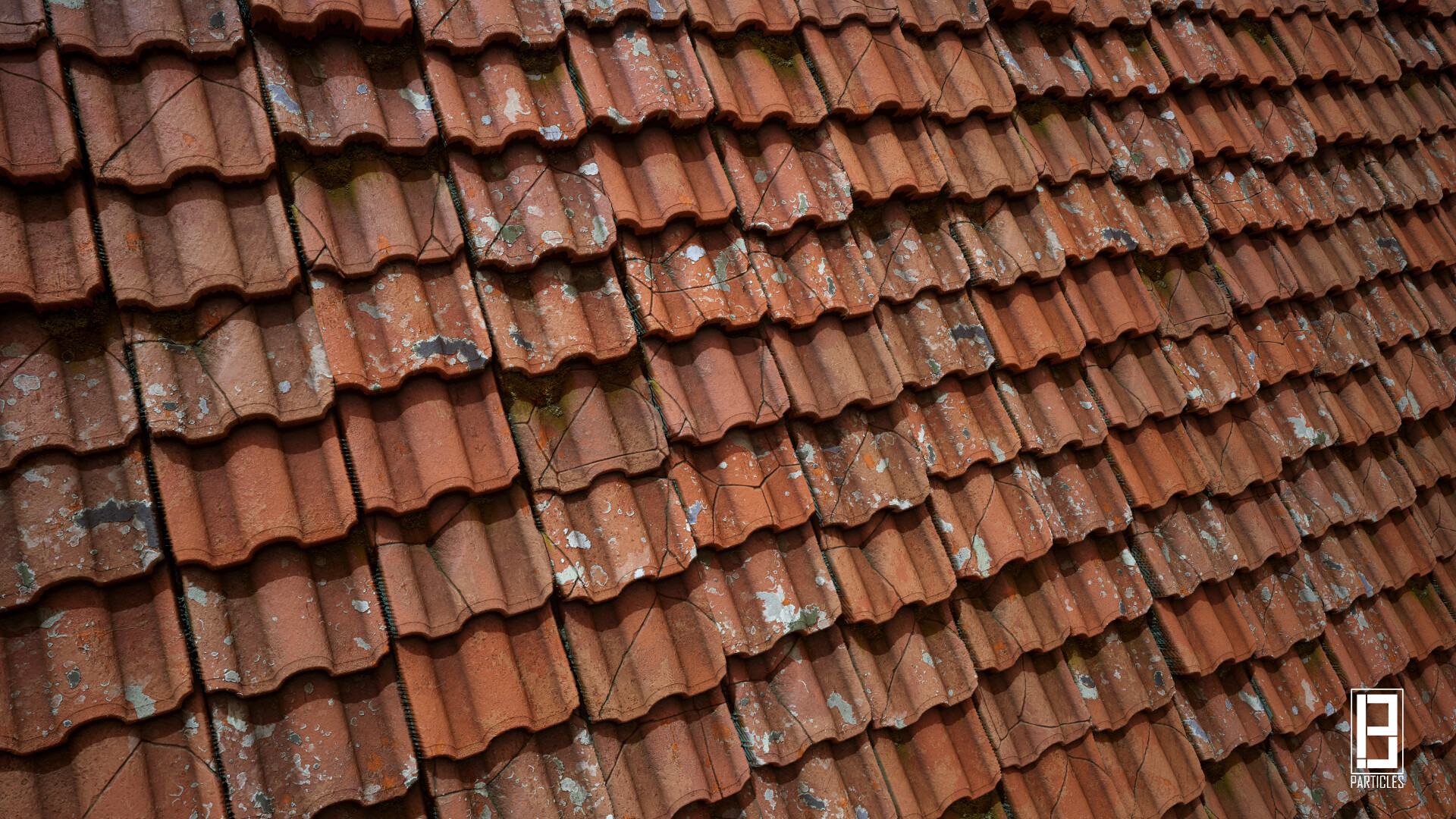 Sahil Thakur Roof Substance Designer