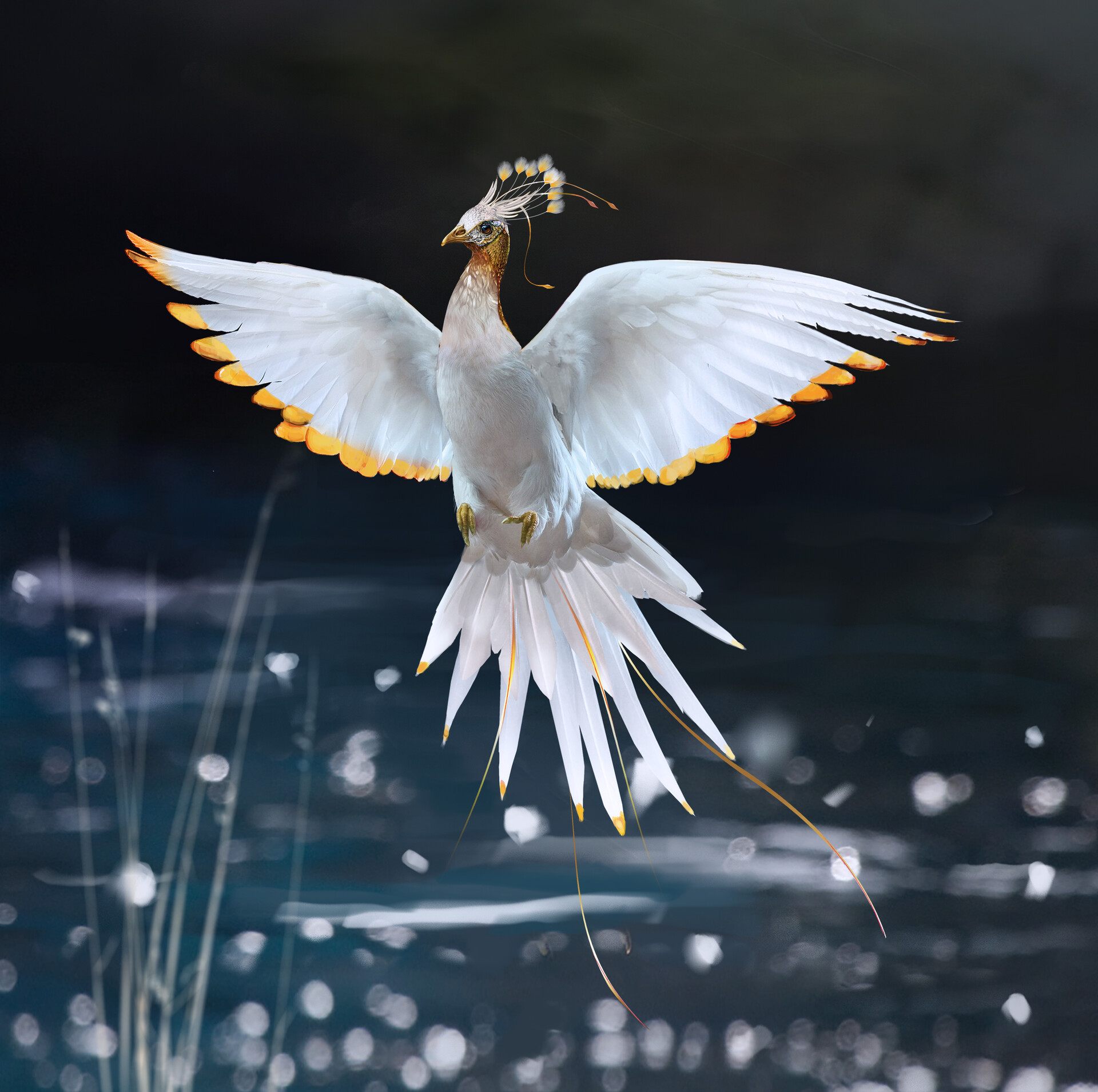 Aga Nieroda White Bird Character Development