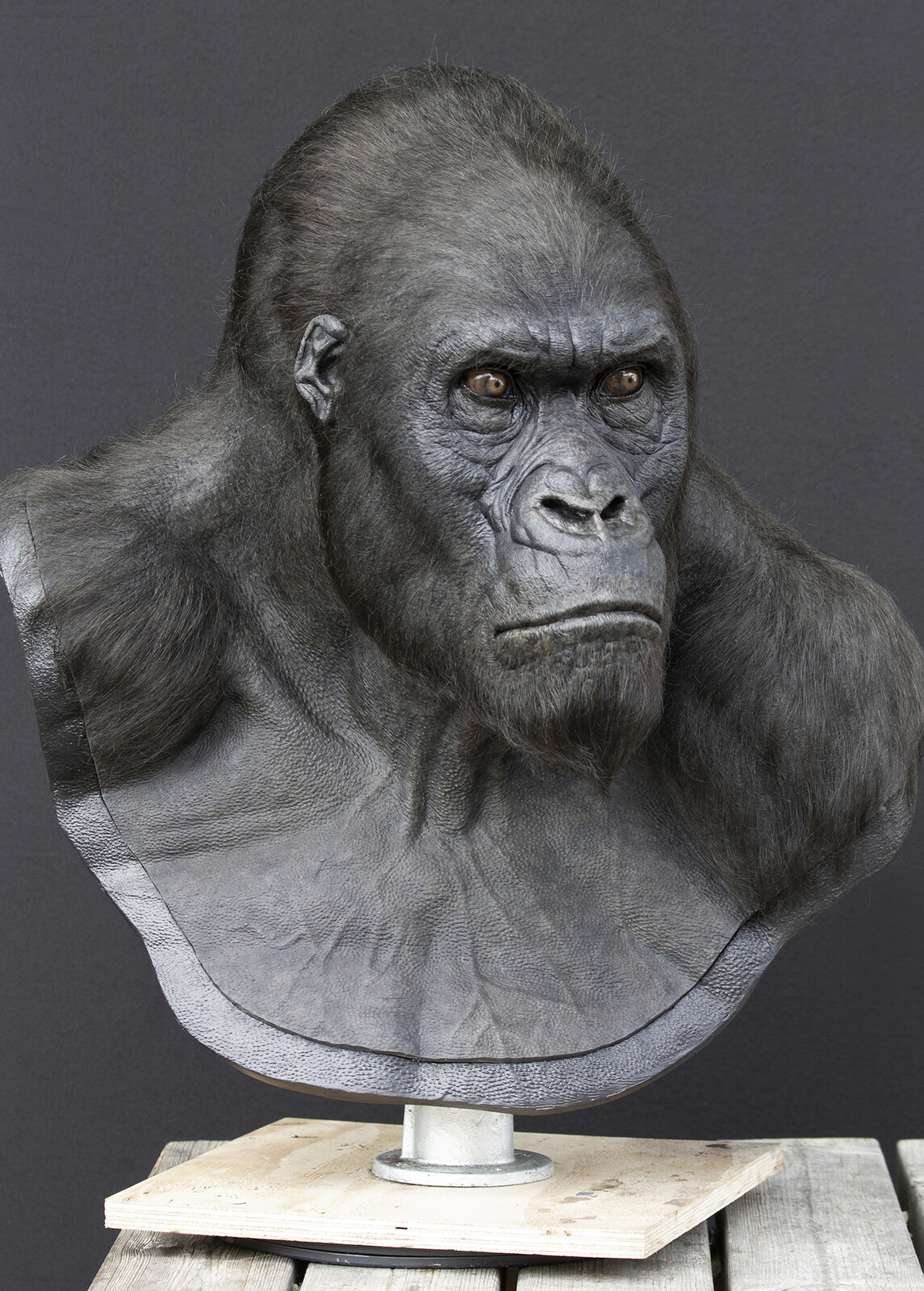 The Legend of Tarzan, 2014 (Akut Character Life Size Display Bust)