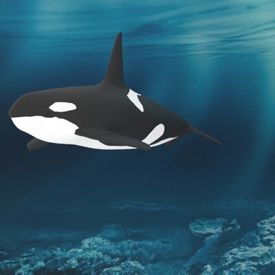 Thomas aguilar orca1