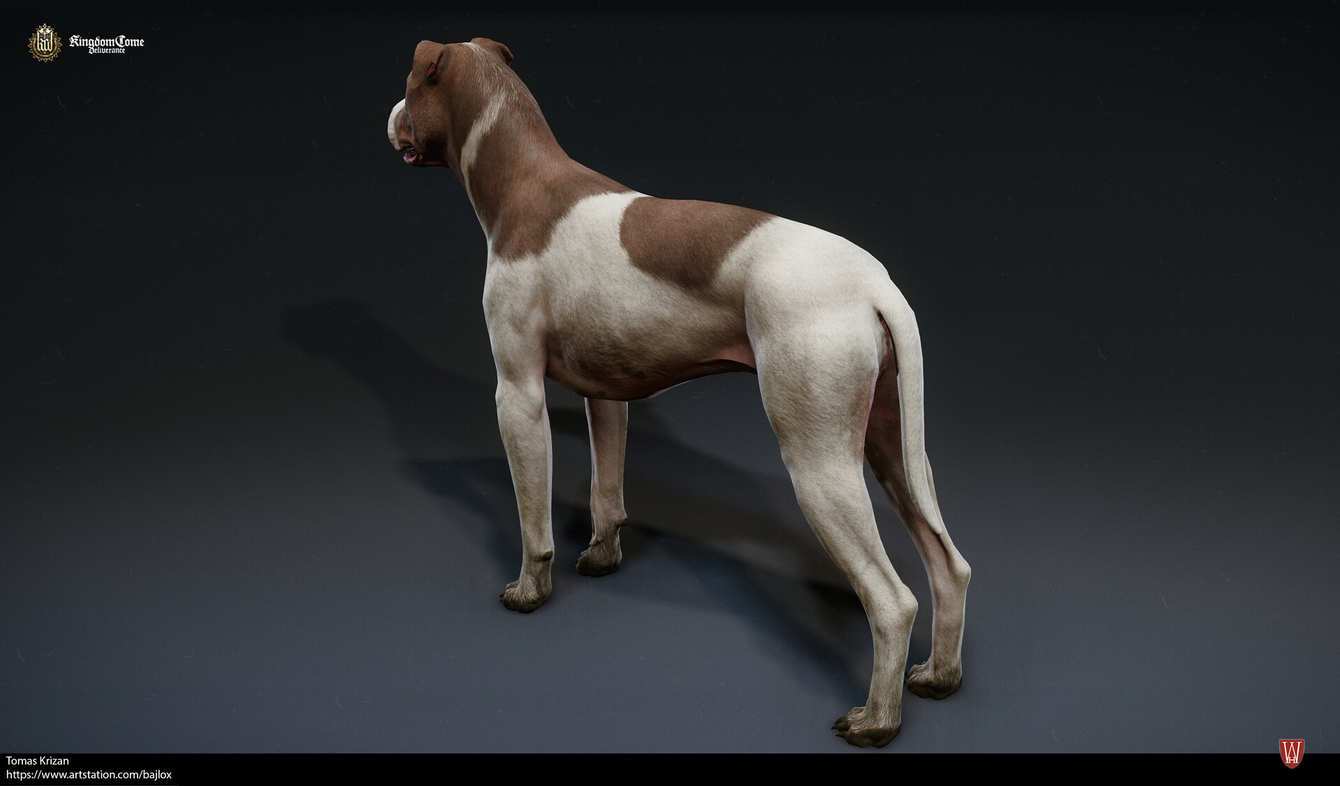 Tomas Krizan Kingdom Come Deliverance A Woman S Lot Henry S Dog Tomas Krizan Kingdom Come Deliverance A Woman S Lot Henry S Dog