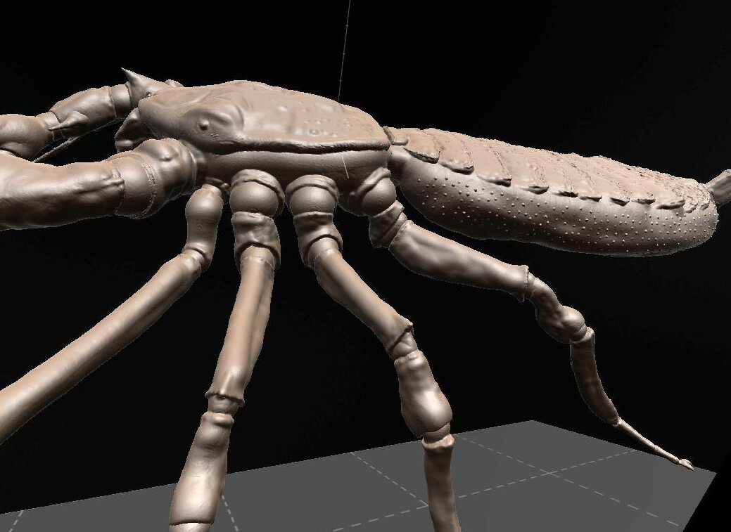 ArtStation Vinegaroon Actual and Mystic