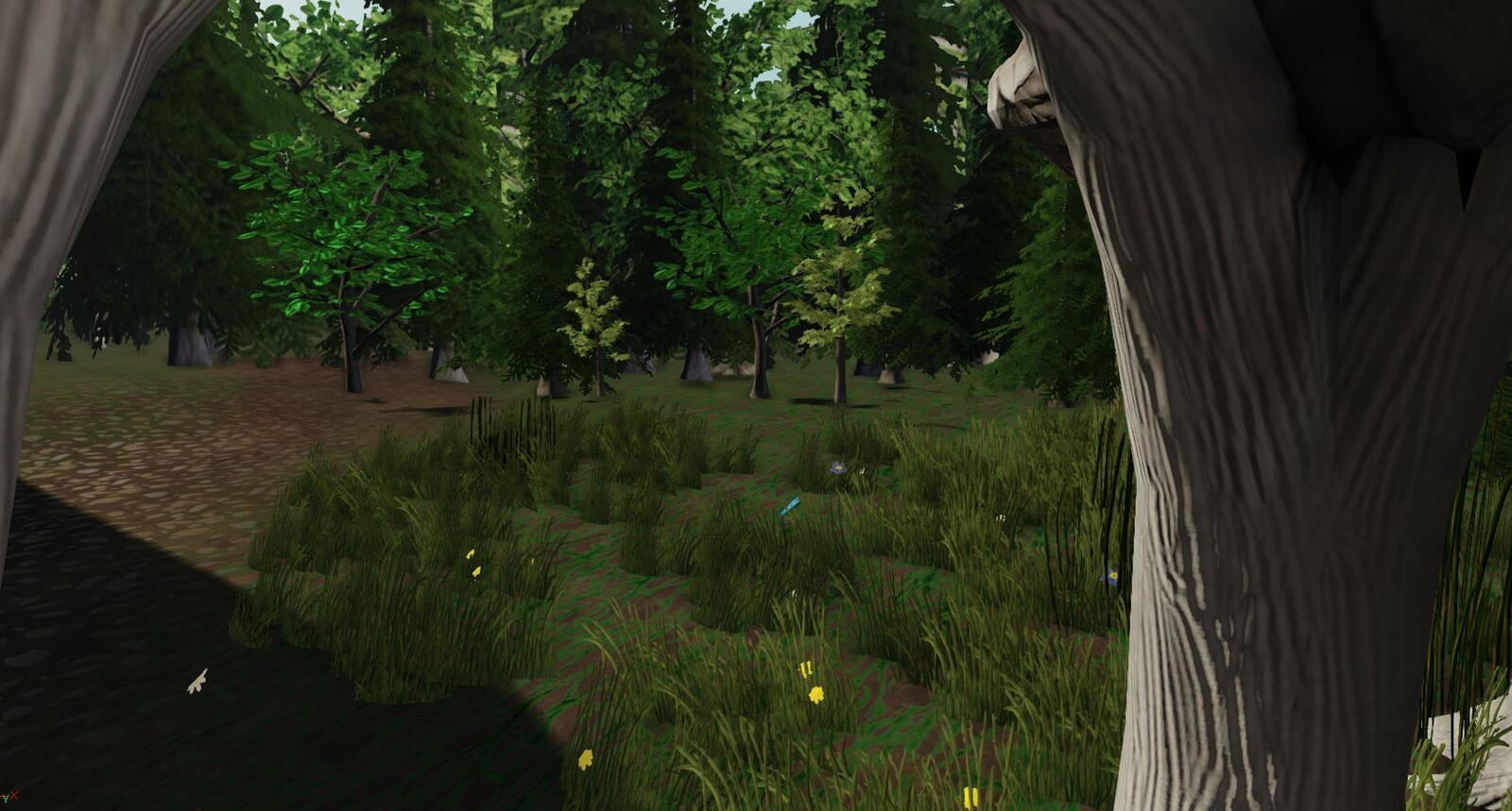 Field view
