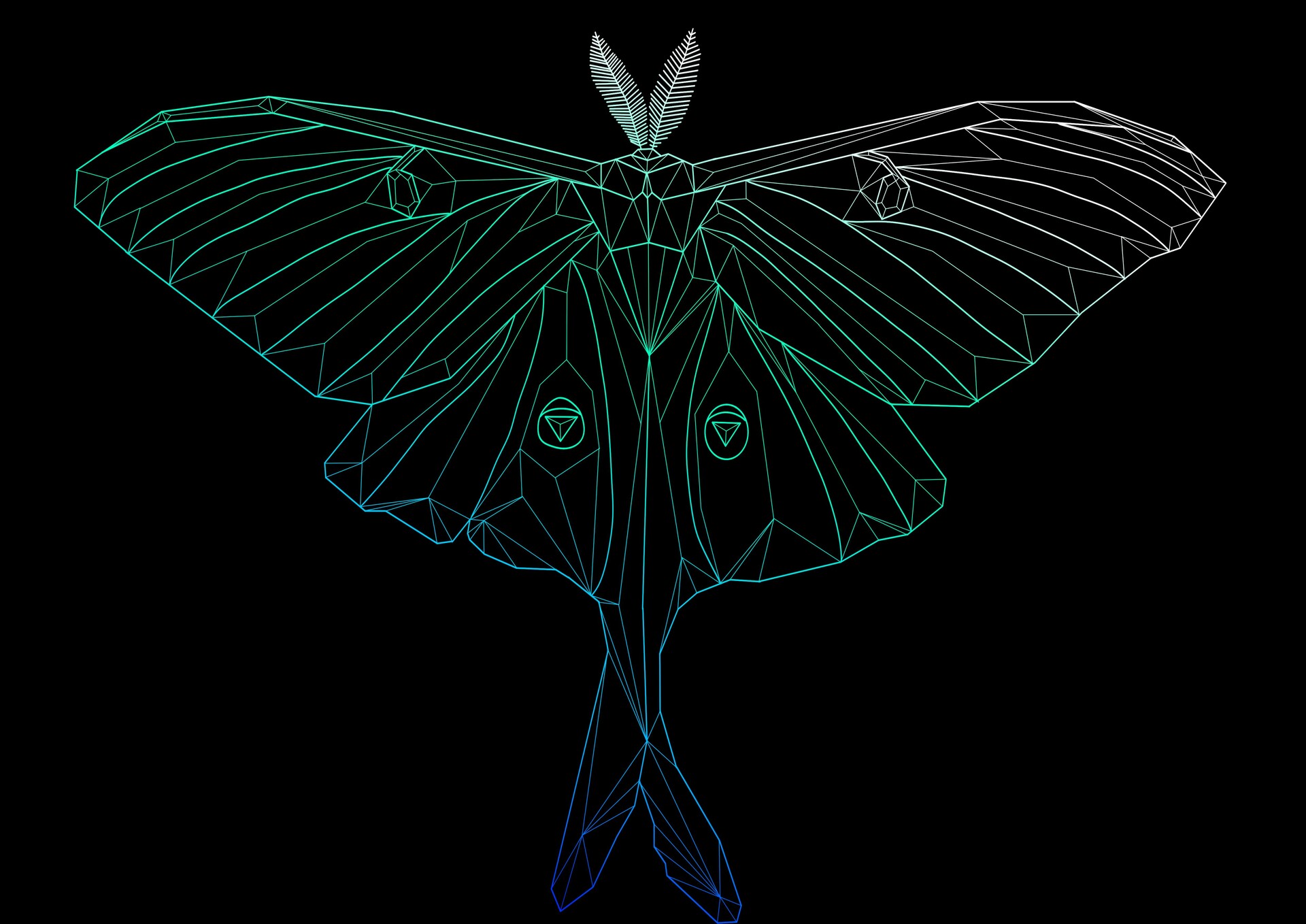 Luna Moth Fabric Wallpaper and Home Decor  Spoonflower