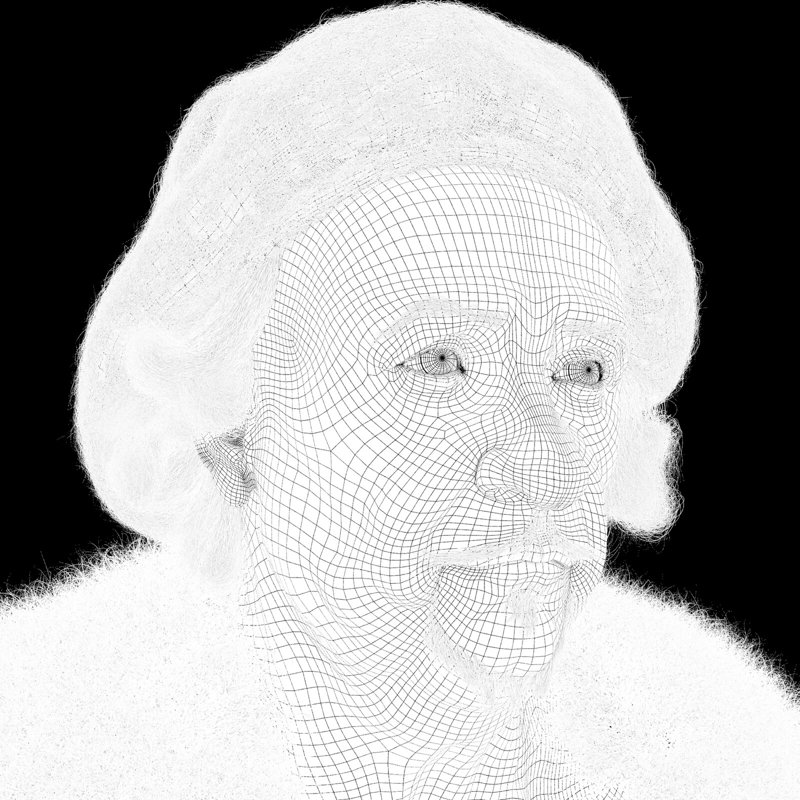 wireframe 
