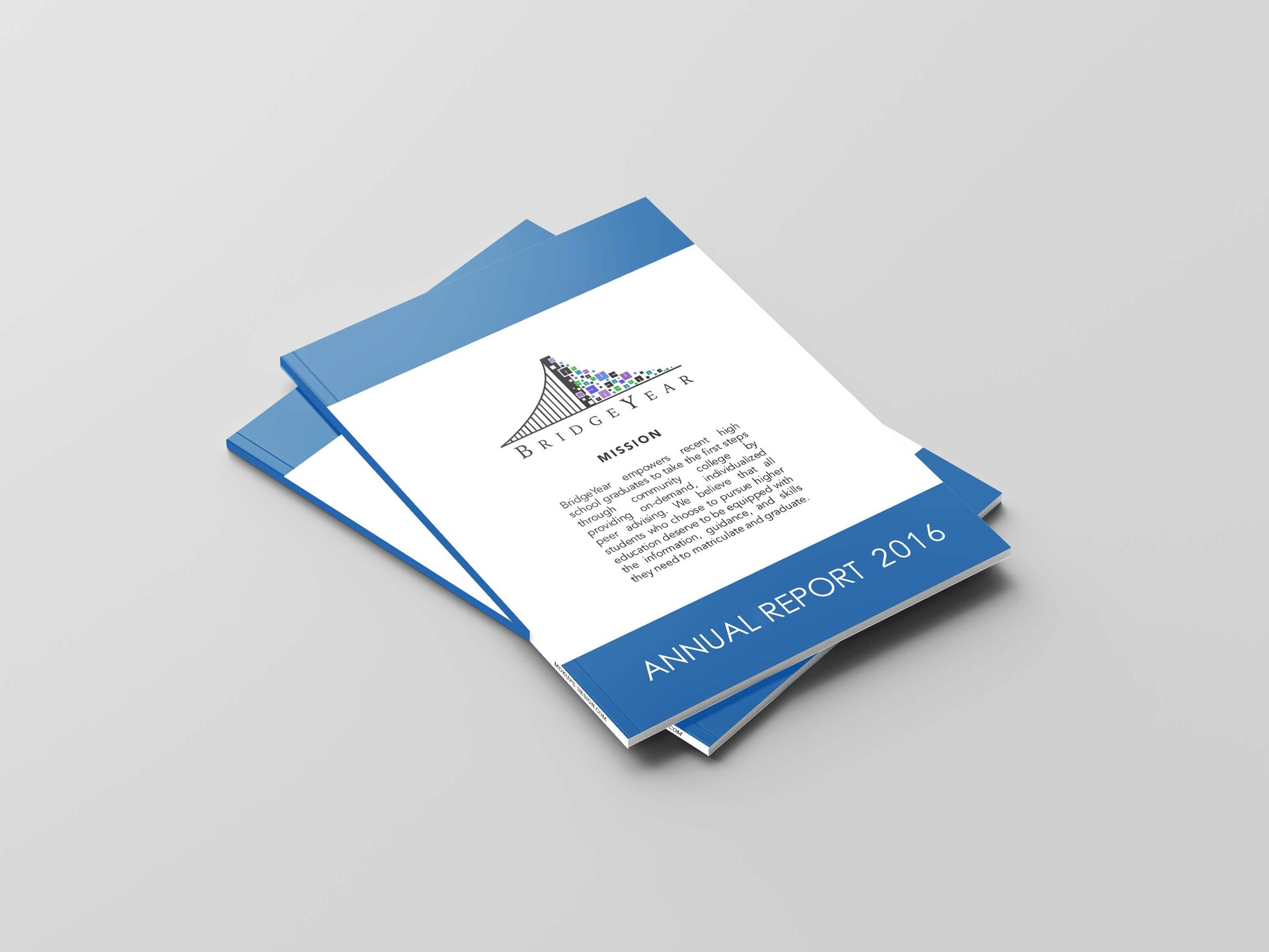 Download Tam Ngo Annual Report