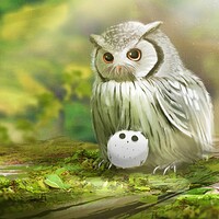 Artstation アメリカキンメフクロウと秋 たんけ のアトリエ Artstation アメリカキンメフクロウと秋 たんけ のアトリエ