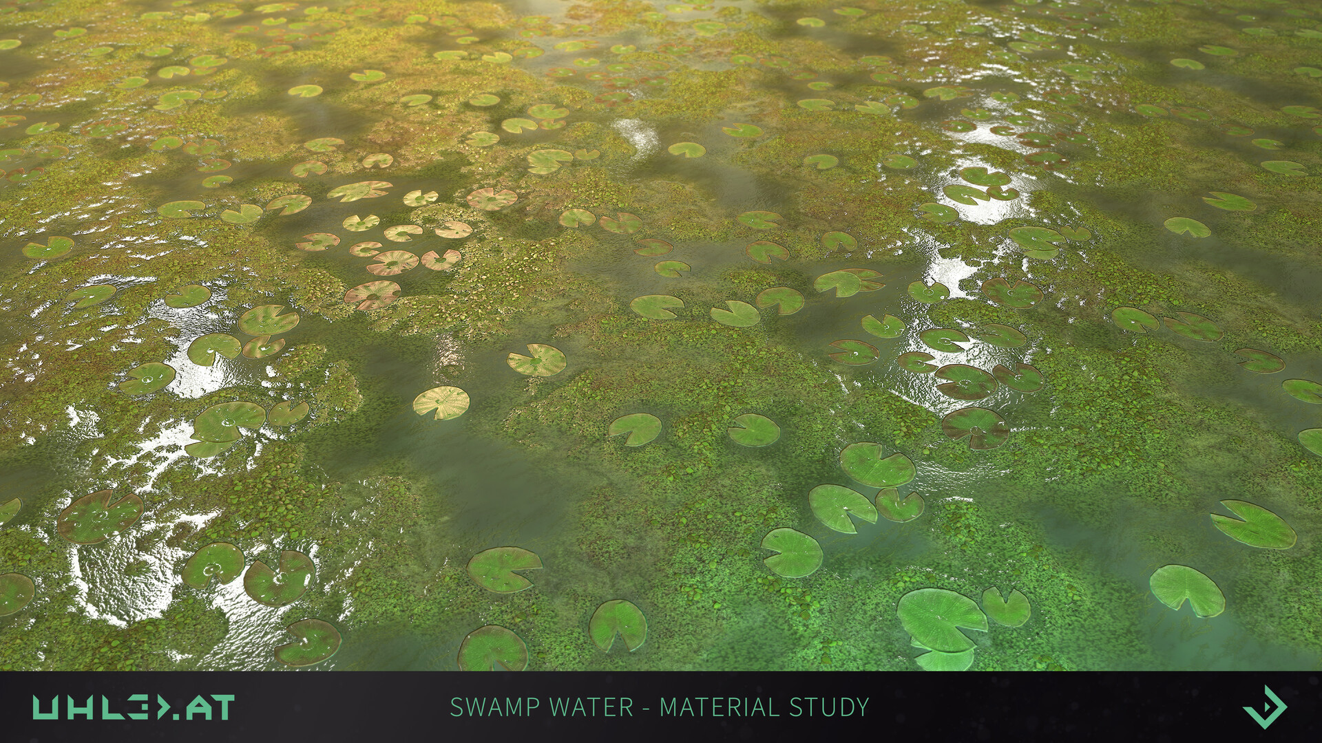 Dominik Uhl MA Swamp Water Material Study
