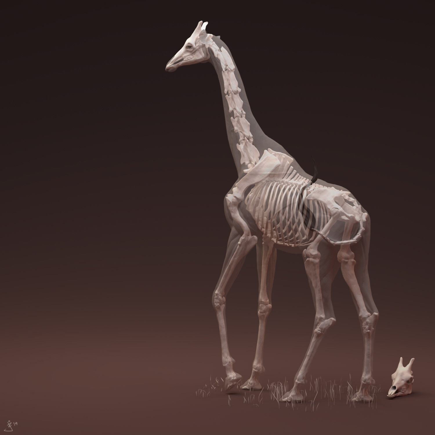 Jess O'Neill Freelance Creature Artist Giraffe