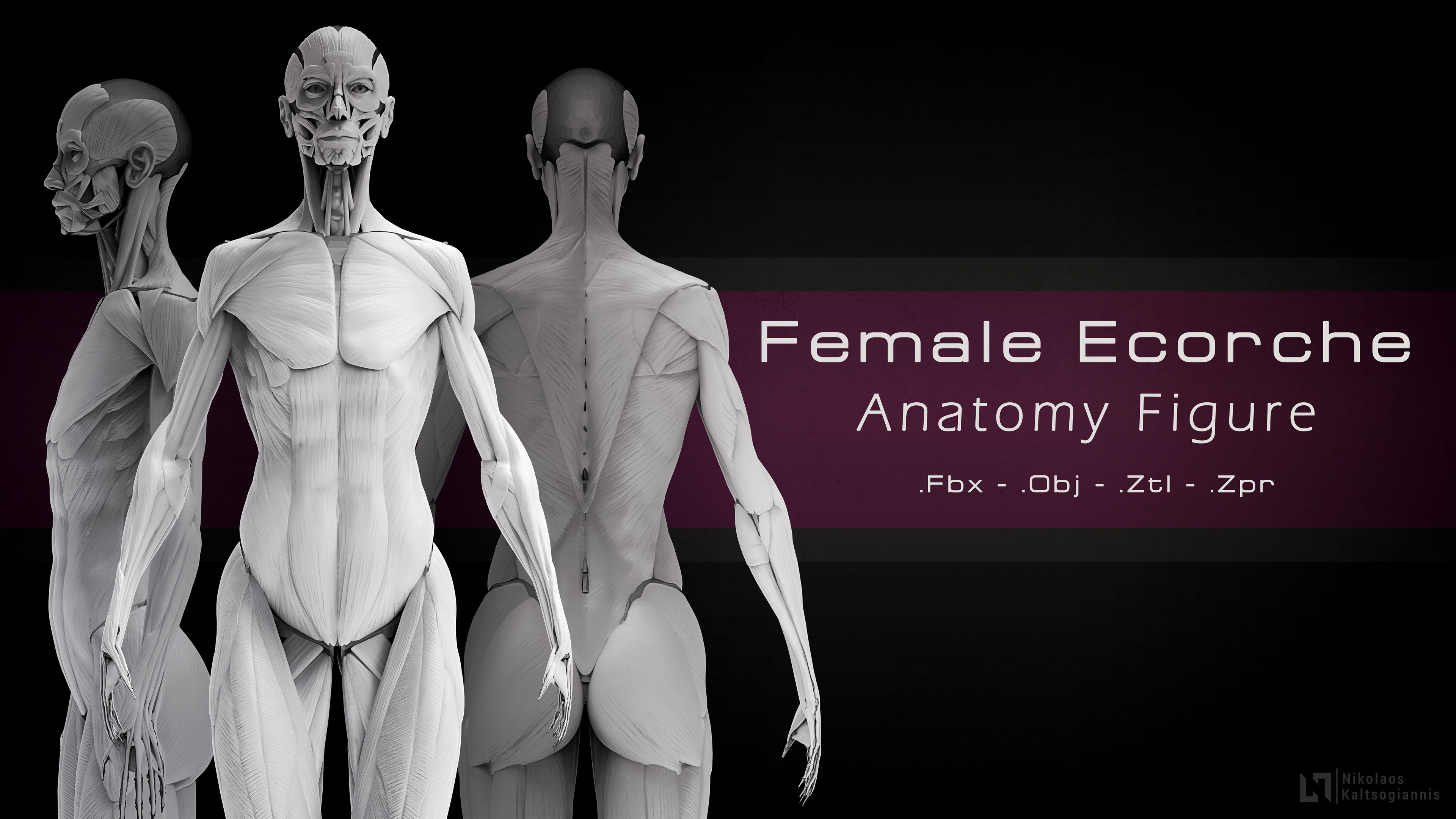 Visit My Store: https://www.artstation.com/nickoxart/store/BxqM/female-ecorche-anatomy-figure