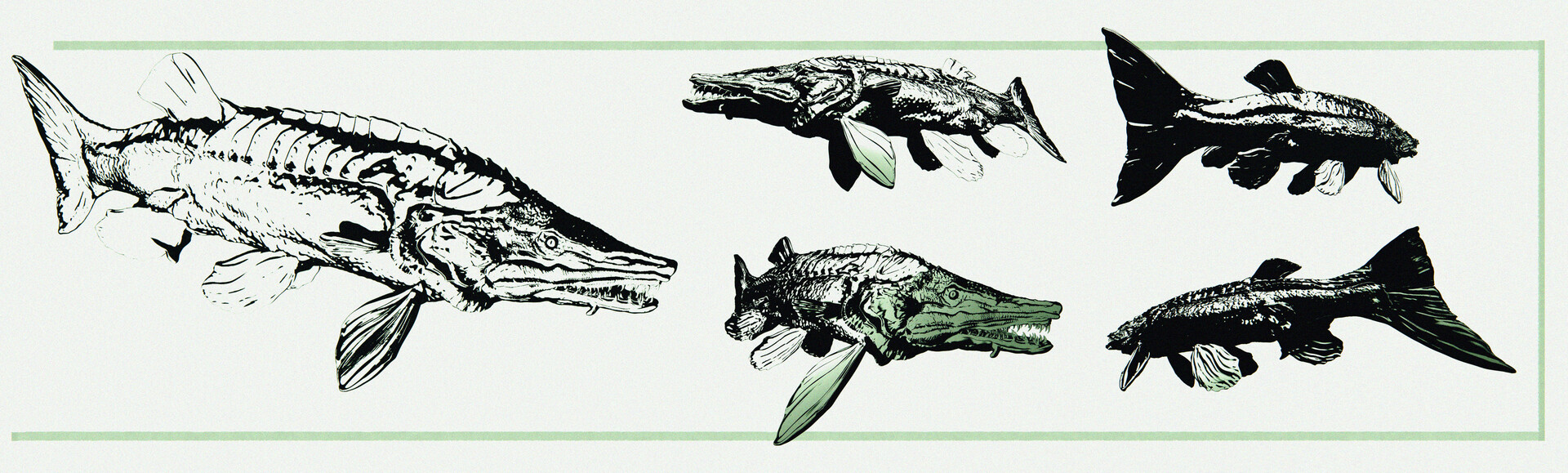 mosasaurus monster megalodon