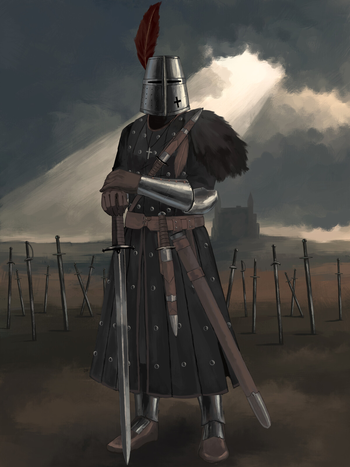 Crusader in the Field of Swords