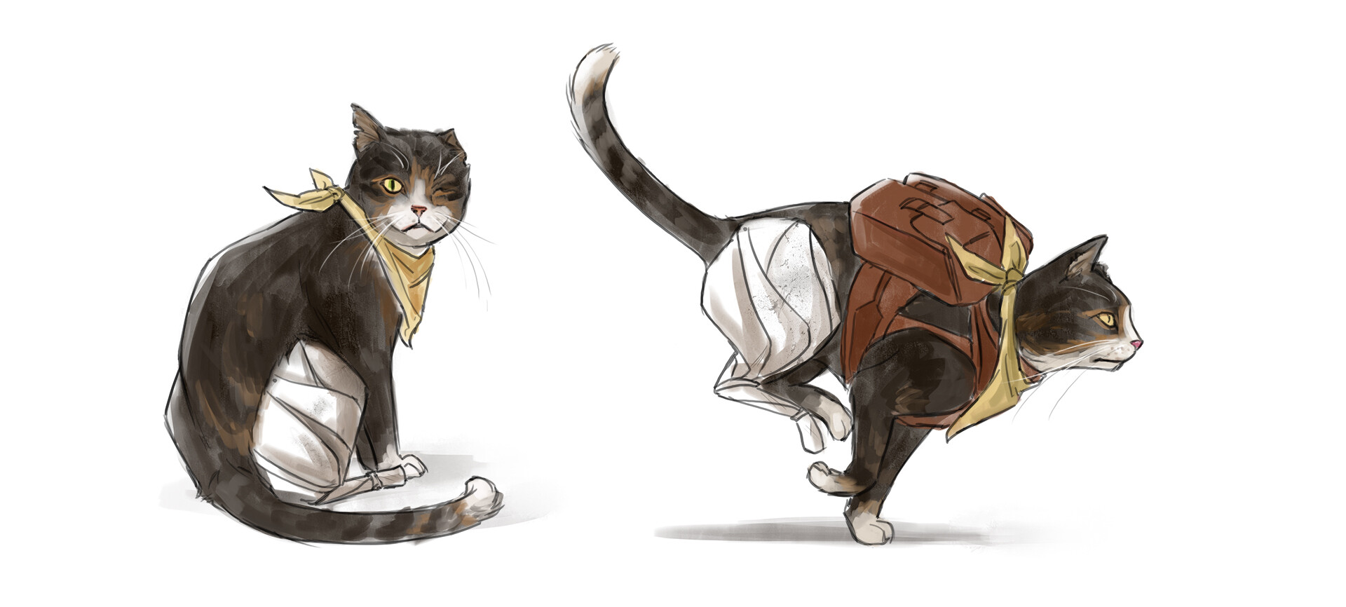Cat couriers shop