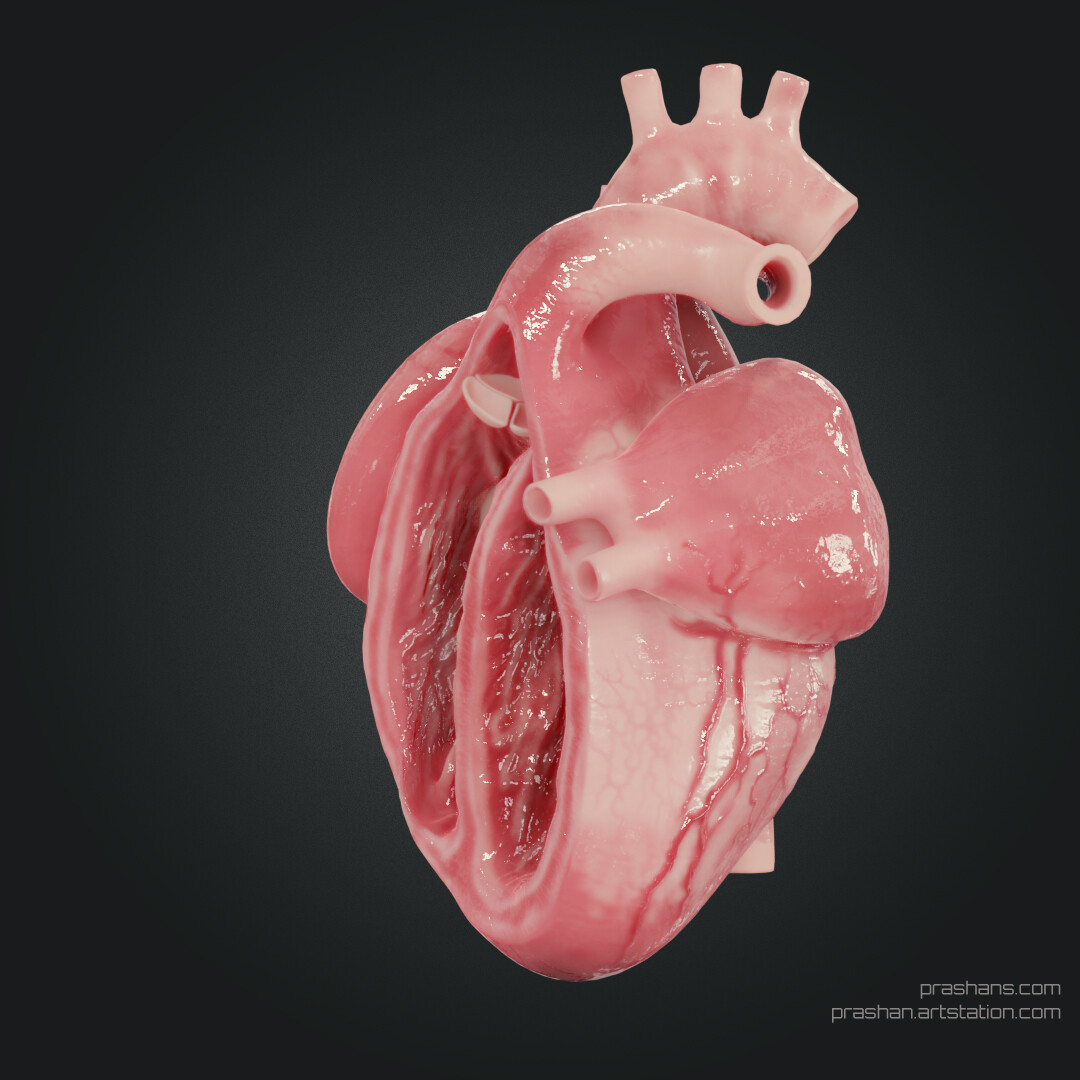 3d Artist Prashan Subasinghe Realistic Heart