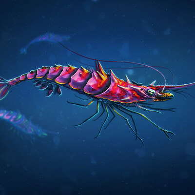 Michele rocco shrimp dragon