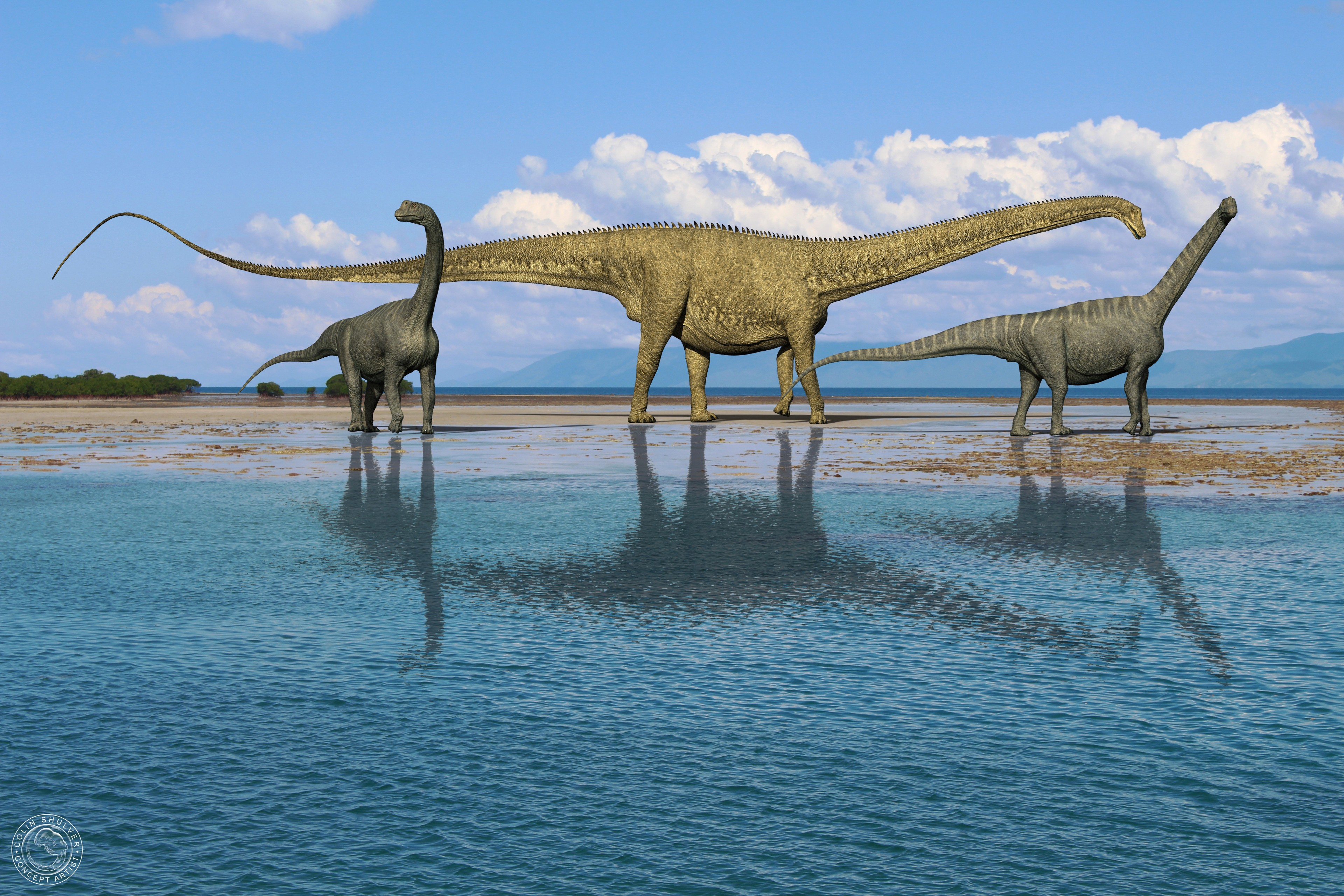 Где большой динозавр. Диплодок Аргентинозавр. Diplodocus динозавр. Диплодок халлорум. Сейсмозавр динозавр.
