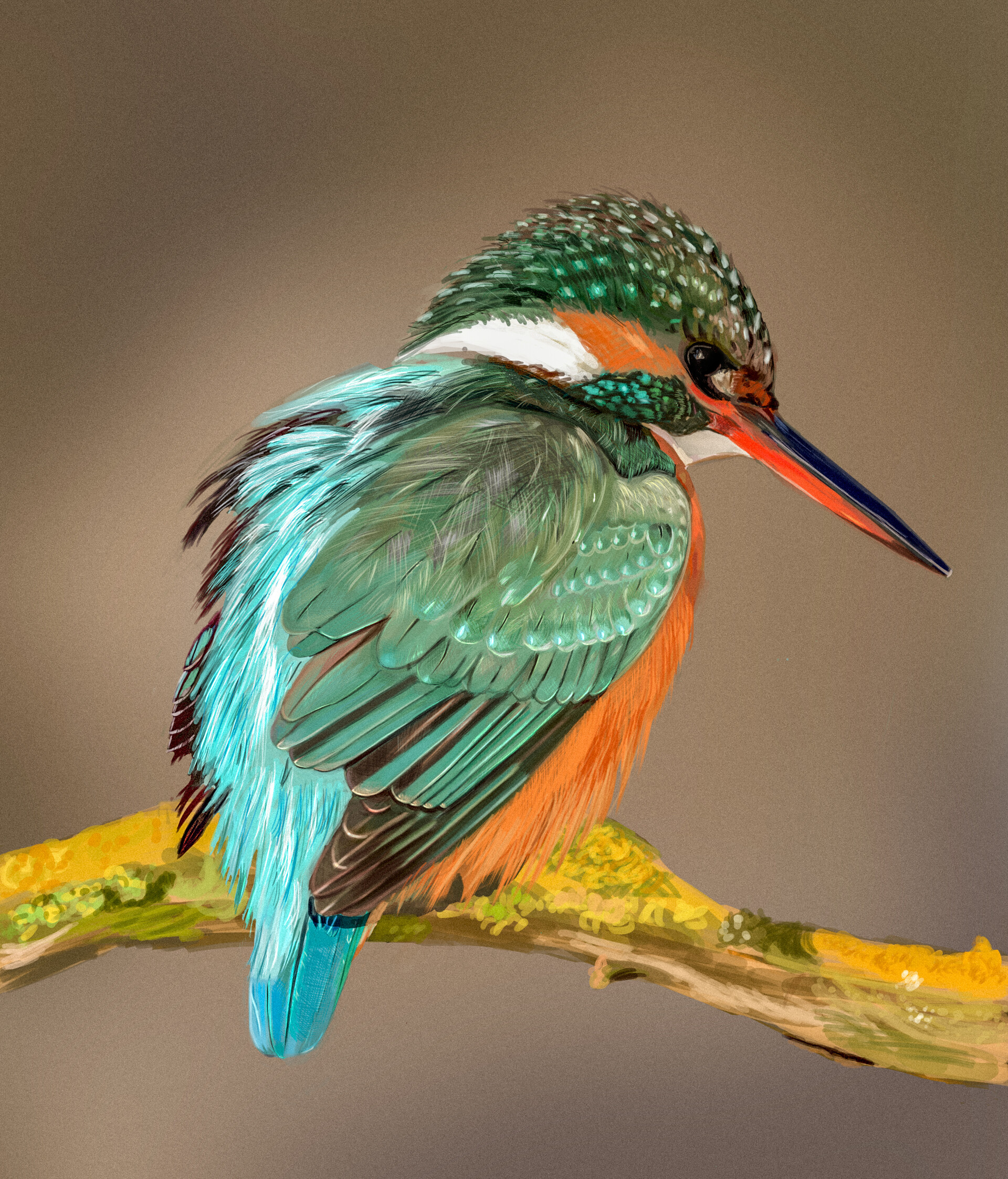 A kingfisher painting: an encounter turned into a sketch – Julia Bausenhardt