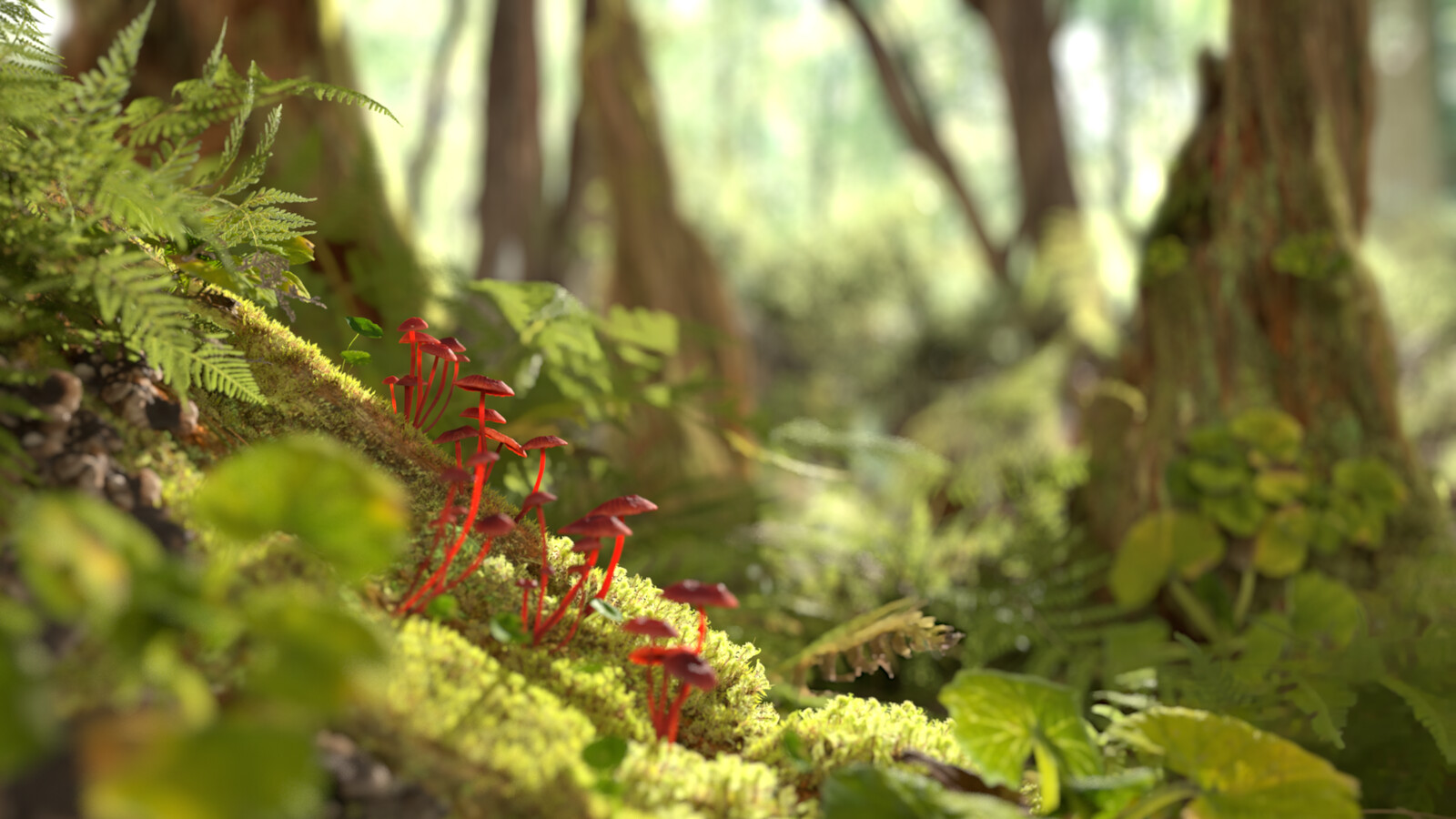 Forest Scene