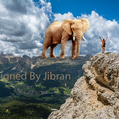 Jibran khan person with elephant work