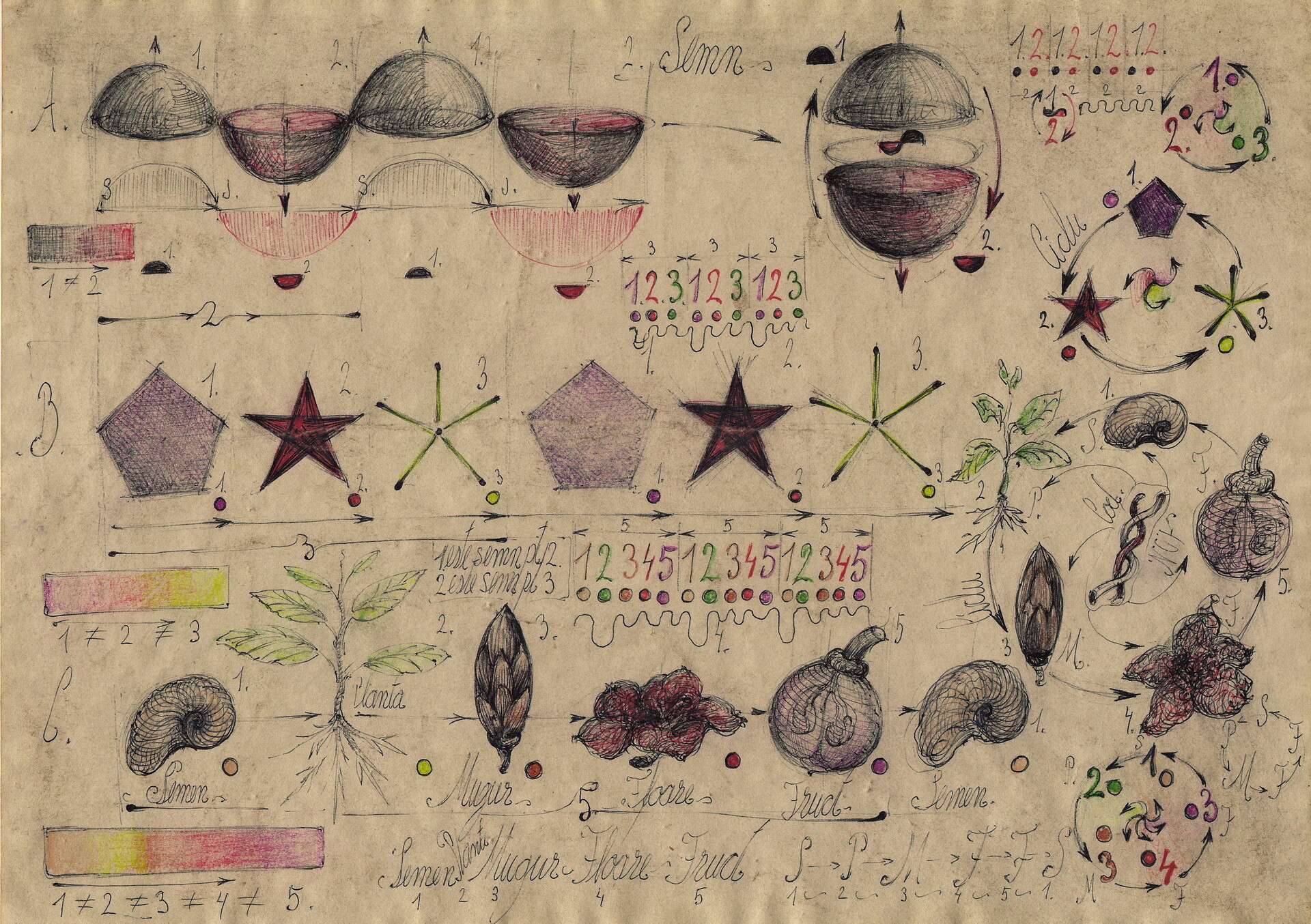 ArtStation - Wave universal algorithm 3