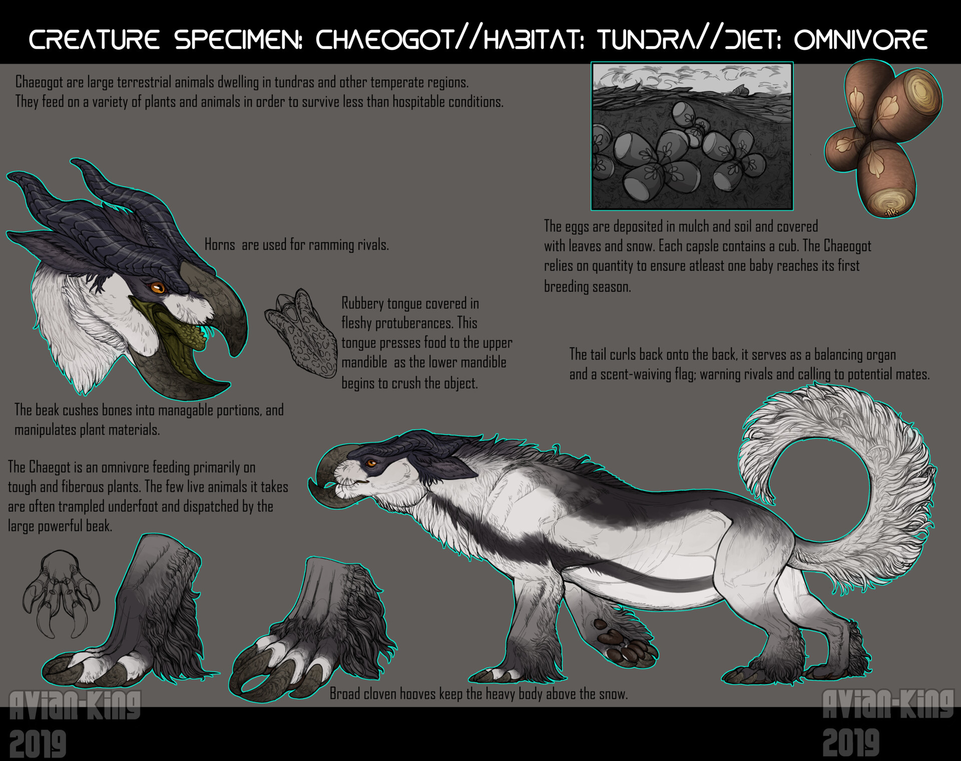 ArtStation - Creature Specimen: Chaeogot