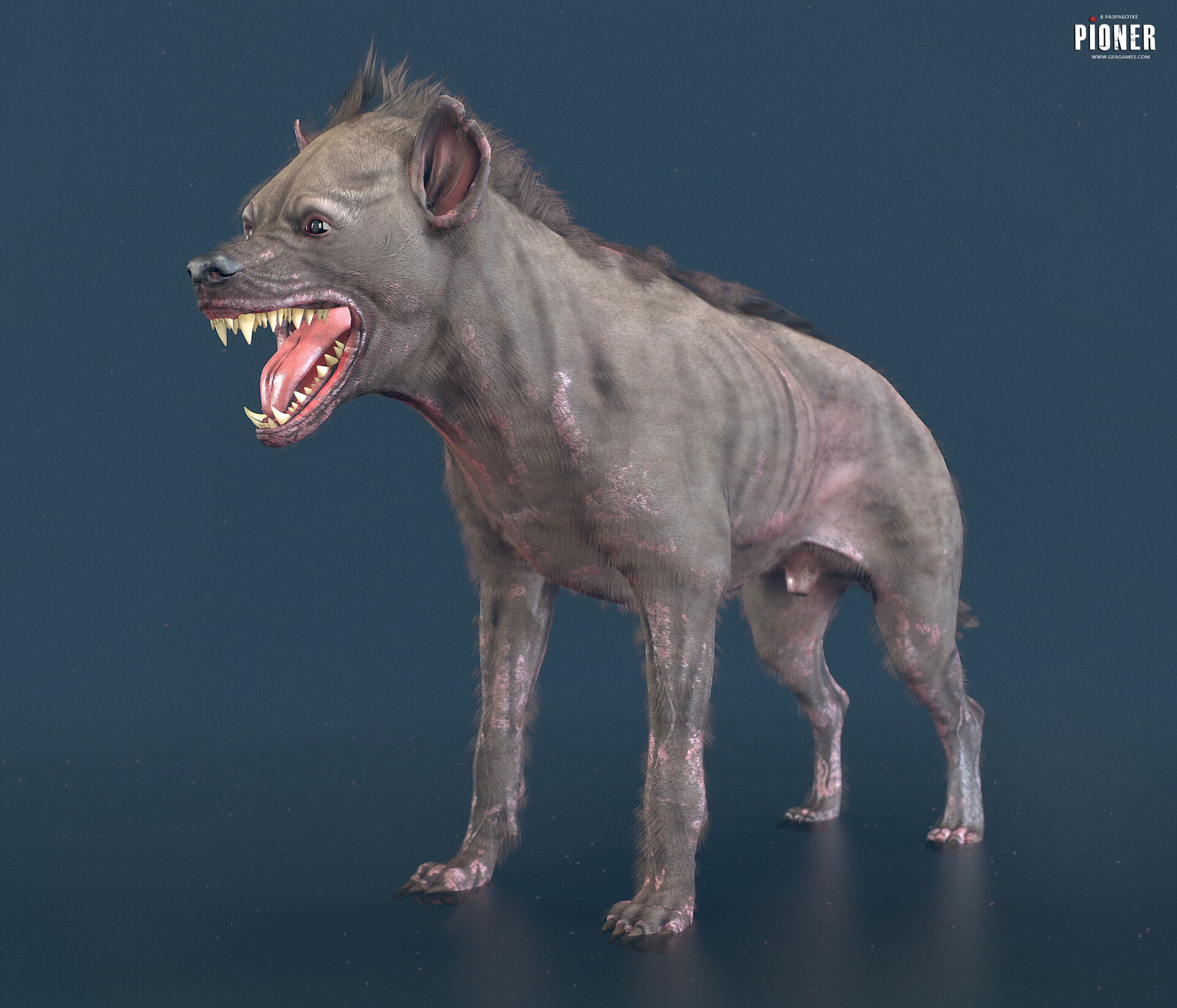 Hyena Mixed With Dog
