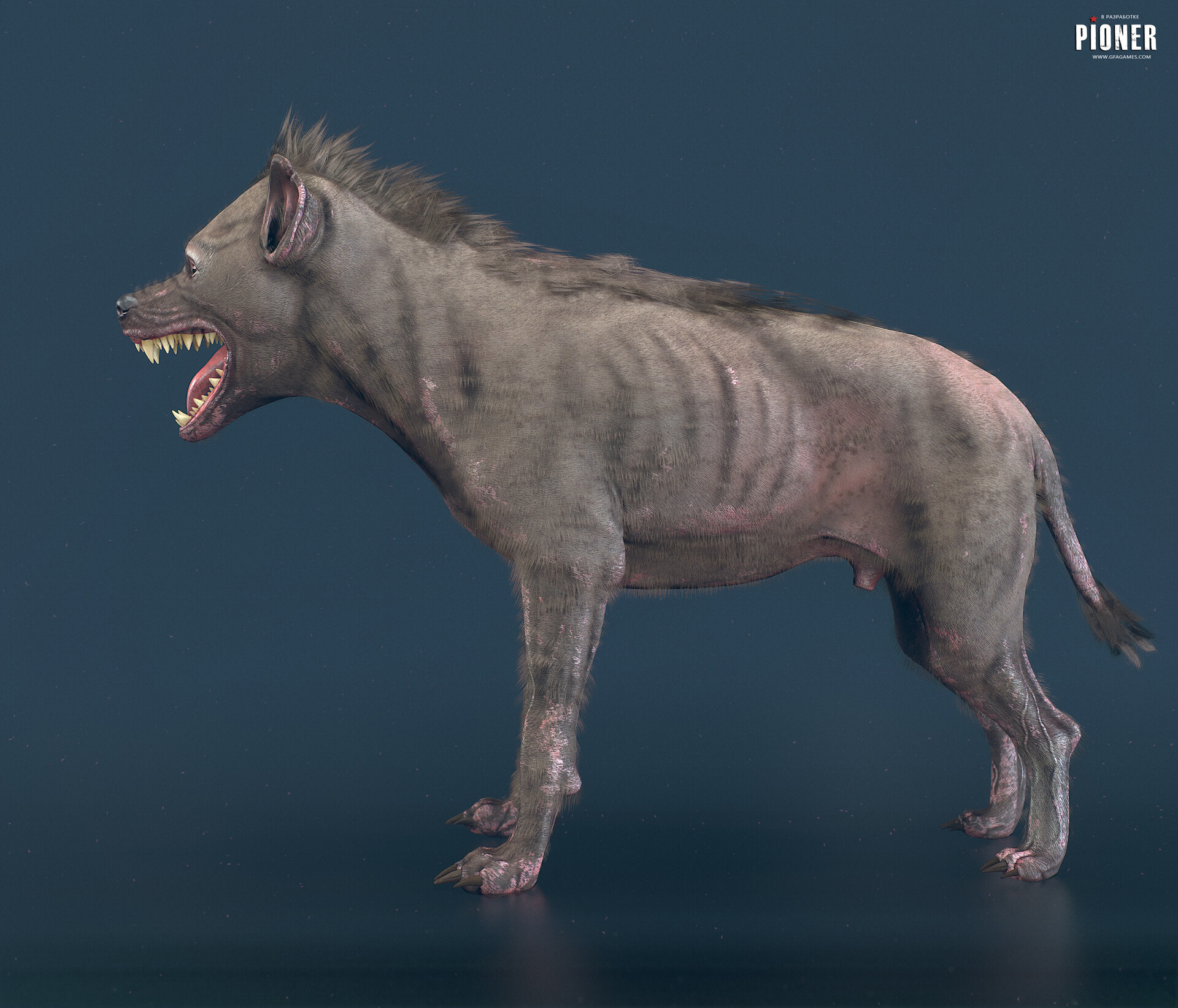 Pitbull Hyena Mix