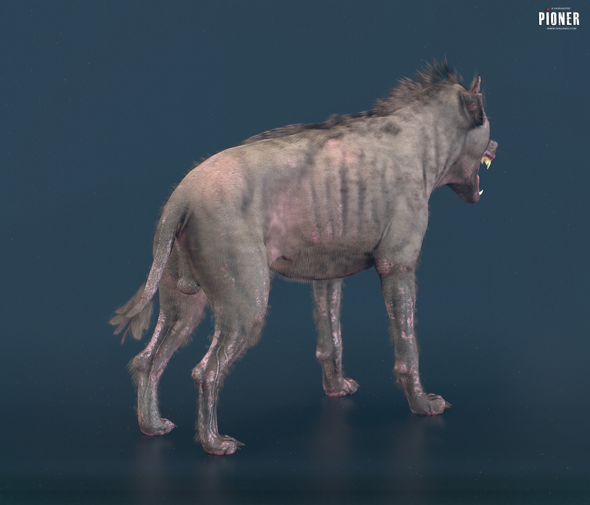 Hyena Mixed With Lion