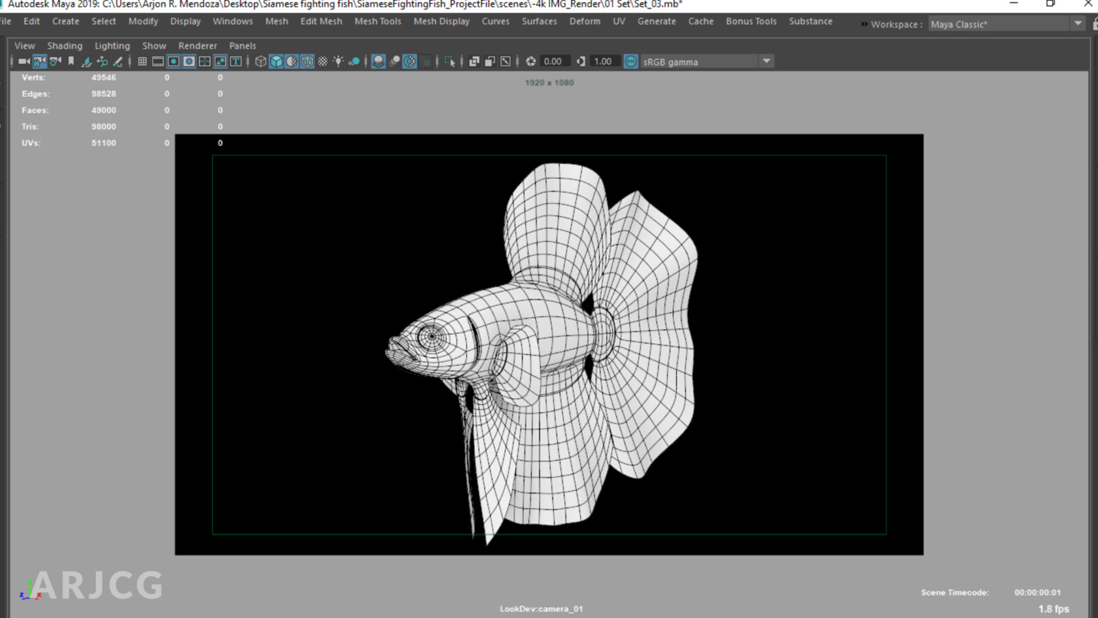 Wireframe